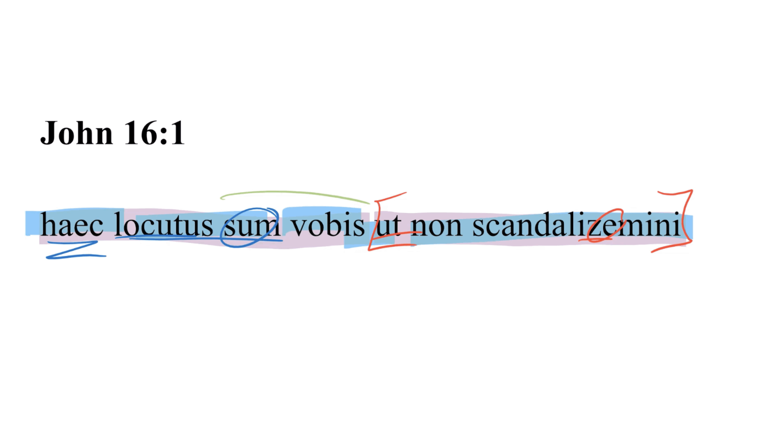 John 16:1 Latin Vulgate