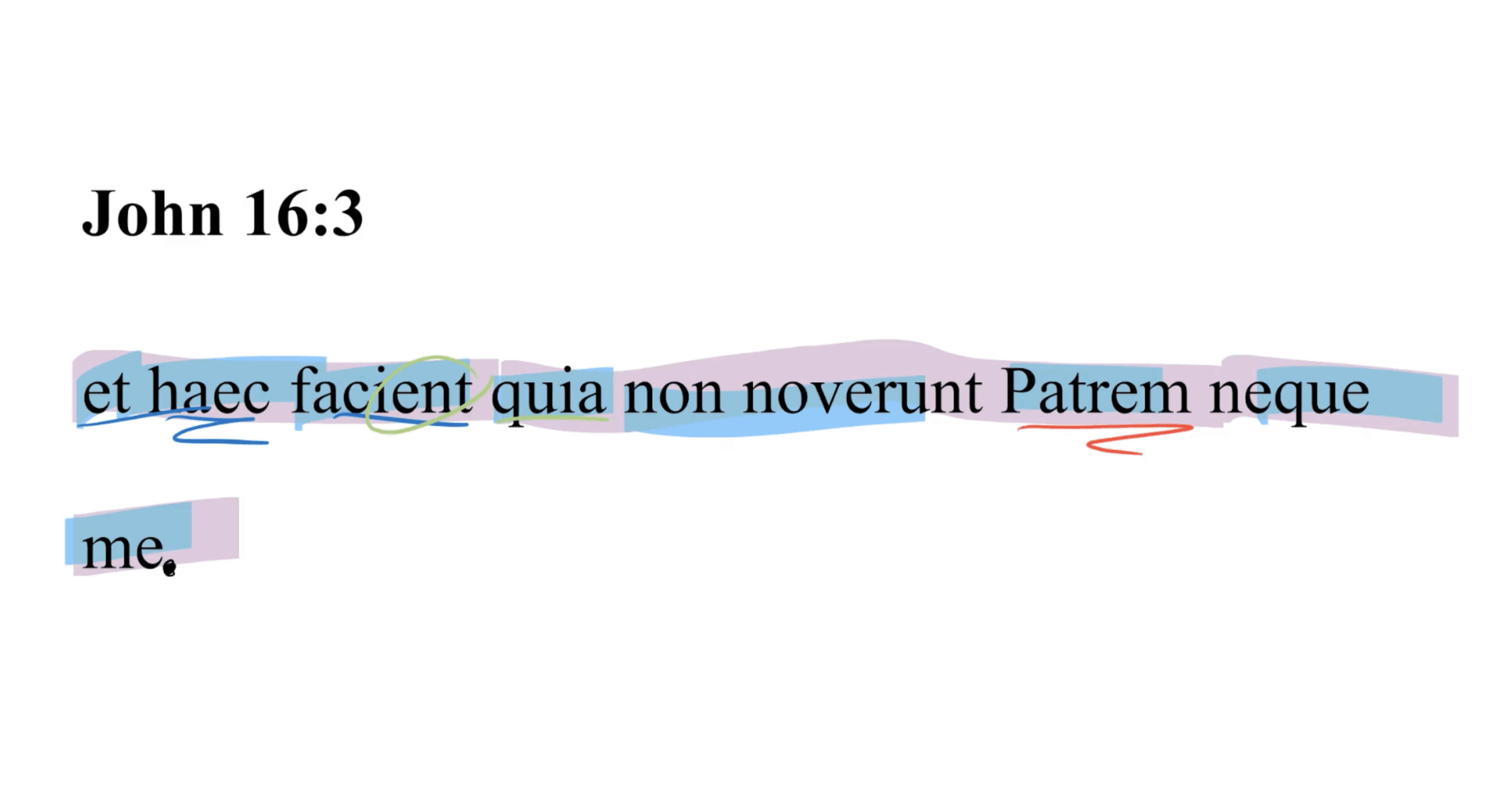 John 16:3 Latin Vulgate
