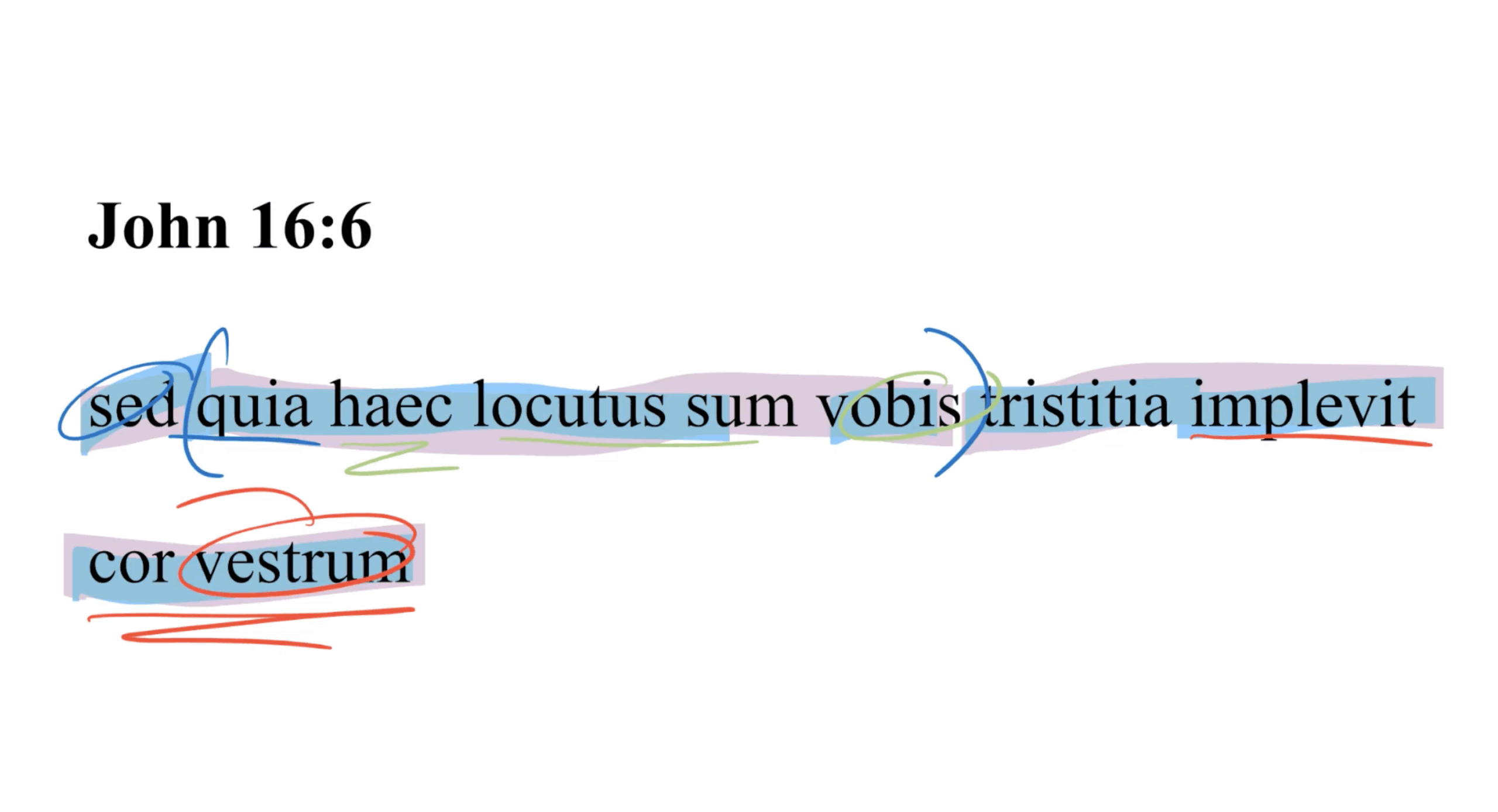 John 16:6 Latin Vulgate