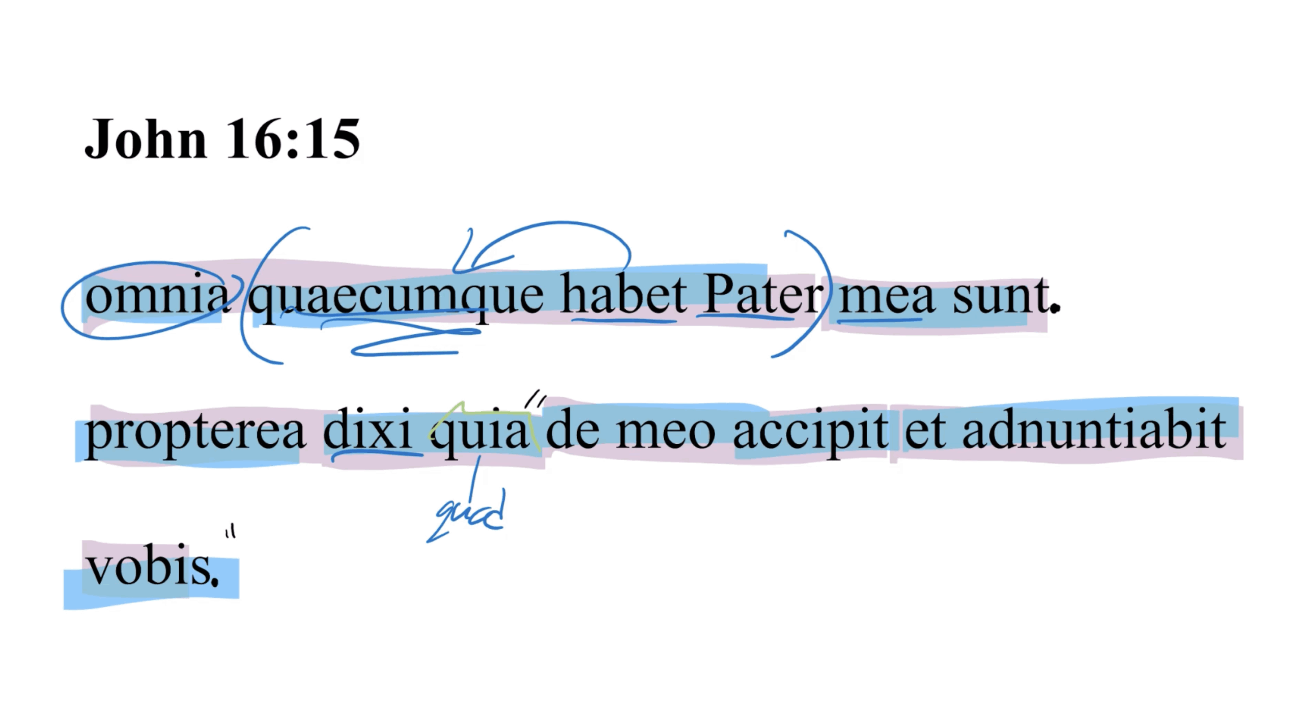 John 16:15 Latin Vulgate