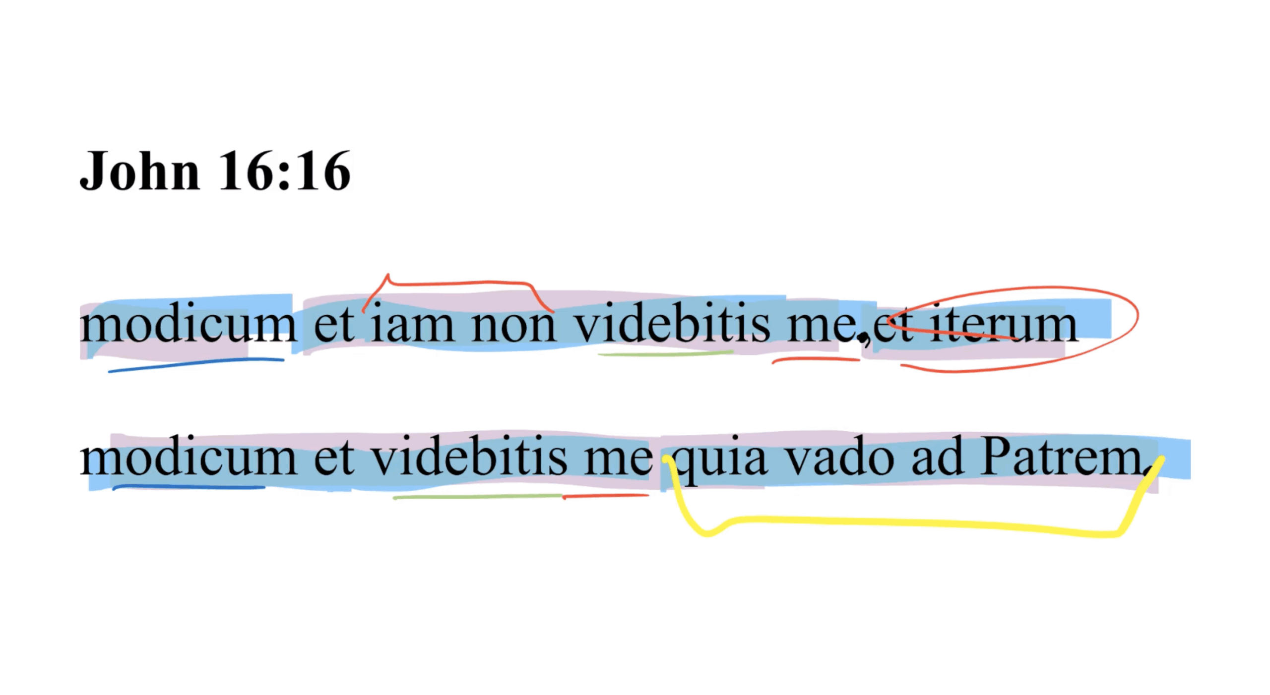 John 16:16 Latin Vulgate