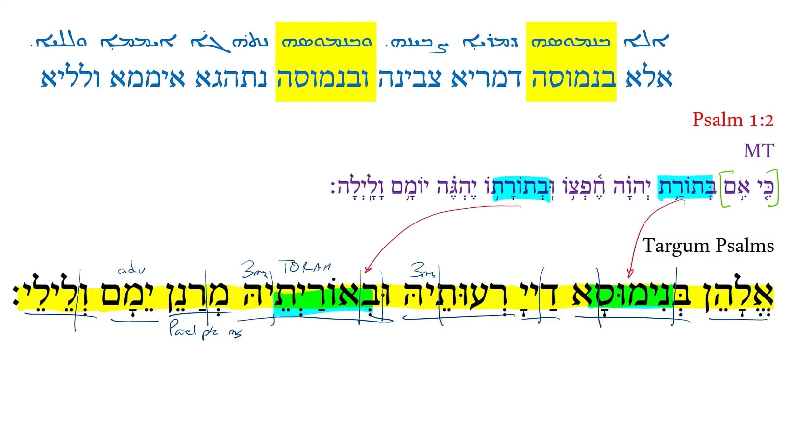 Targum Psalm 1:2b