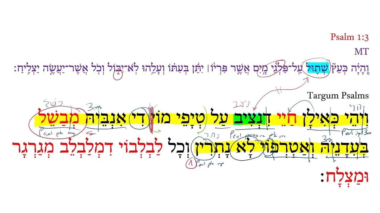 Targum Psalm 1:3b