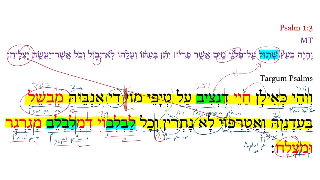 Targum Psalm 1:3c