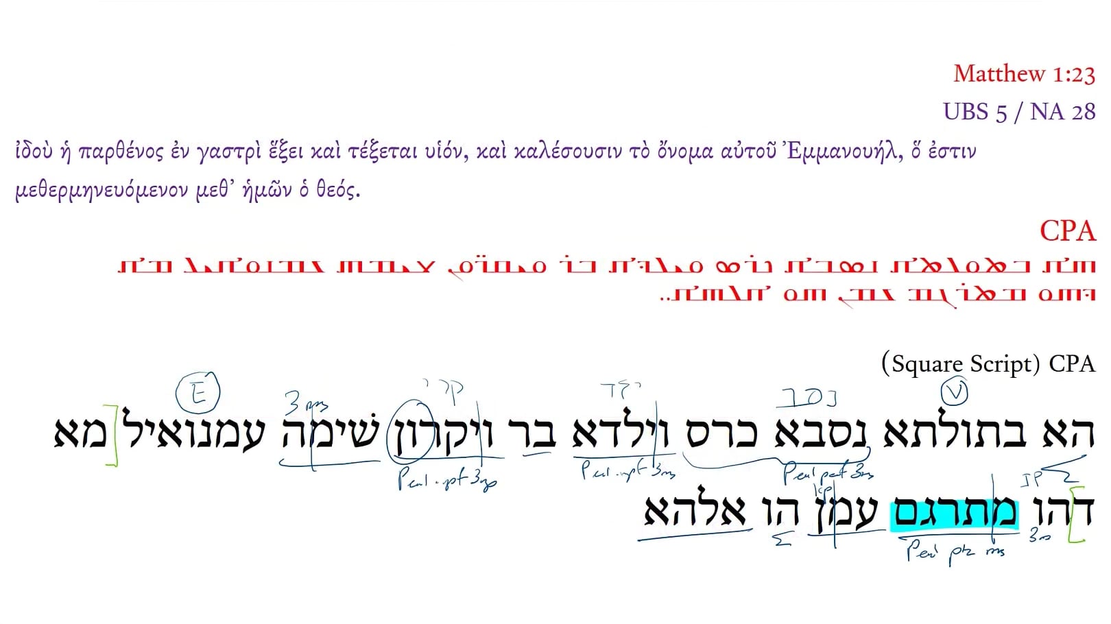 CPA Matthew 1:23b