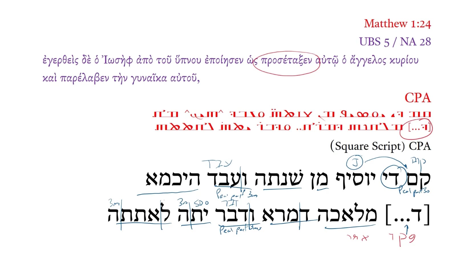 CPA Matthew 1:24a