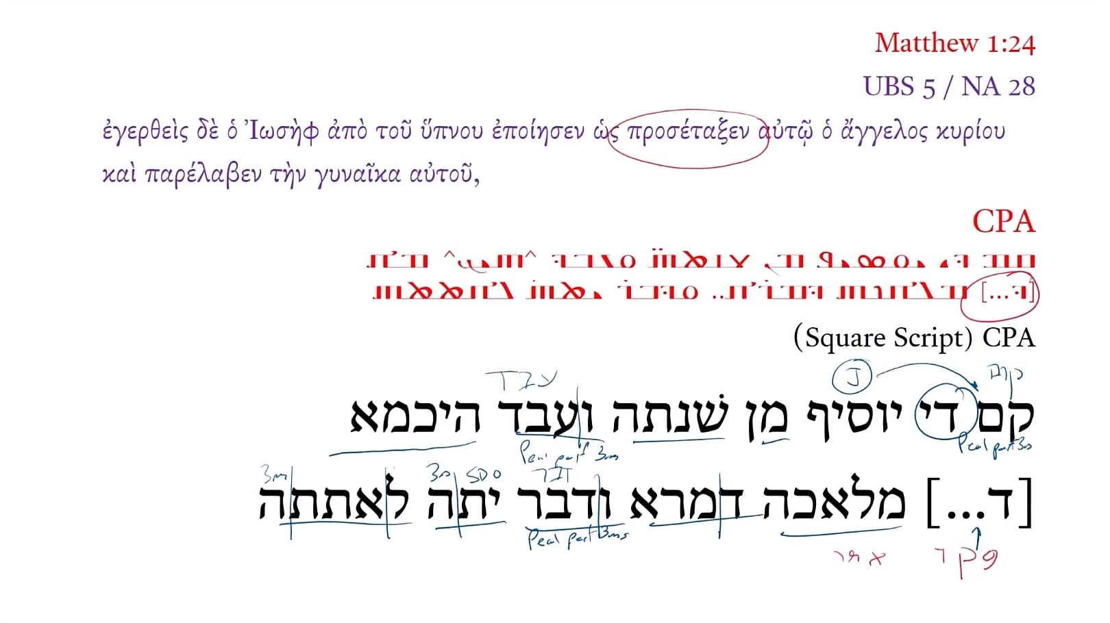 CPA Matthew 1:24b