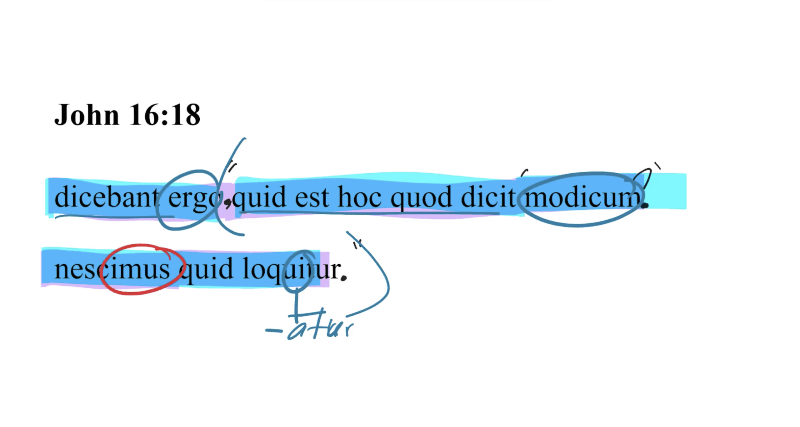John 16:18 Latin Vulgate