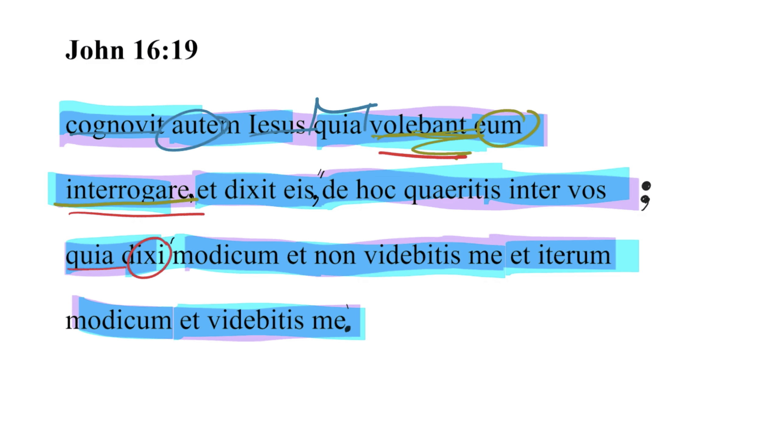 John 16:19 Latin Vulgate