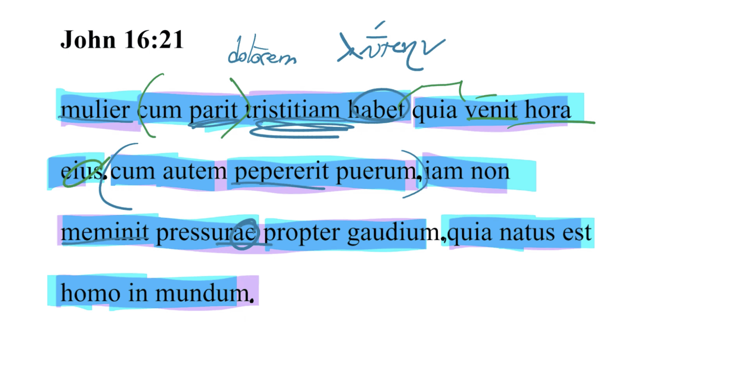 John 16:21 Latin Vulgate