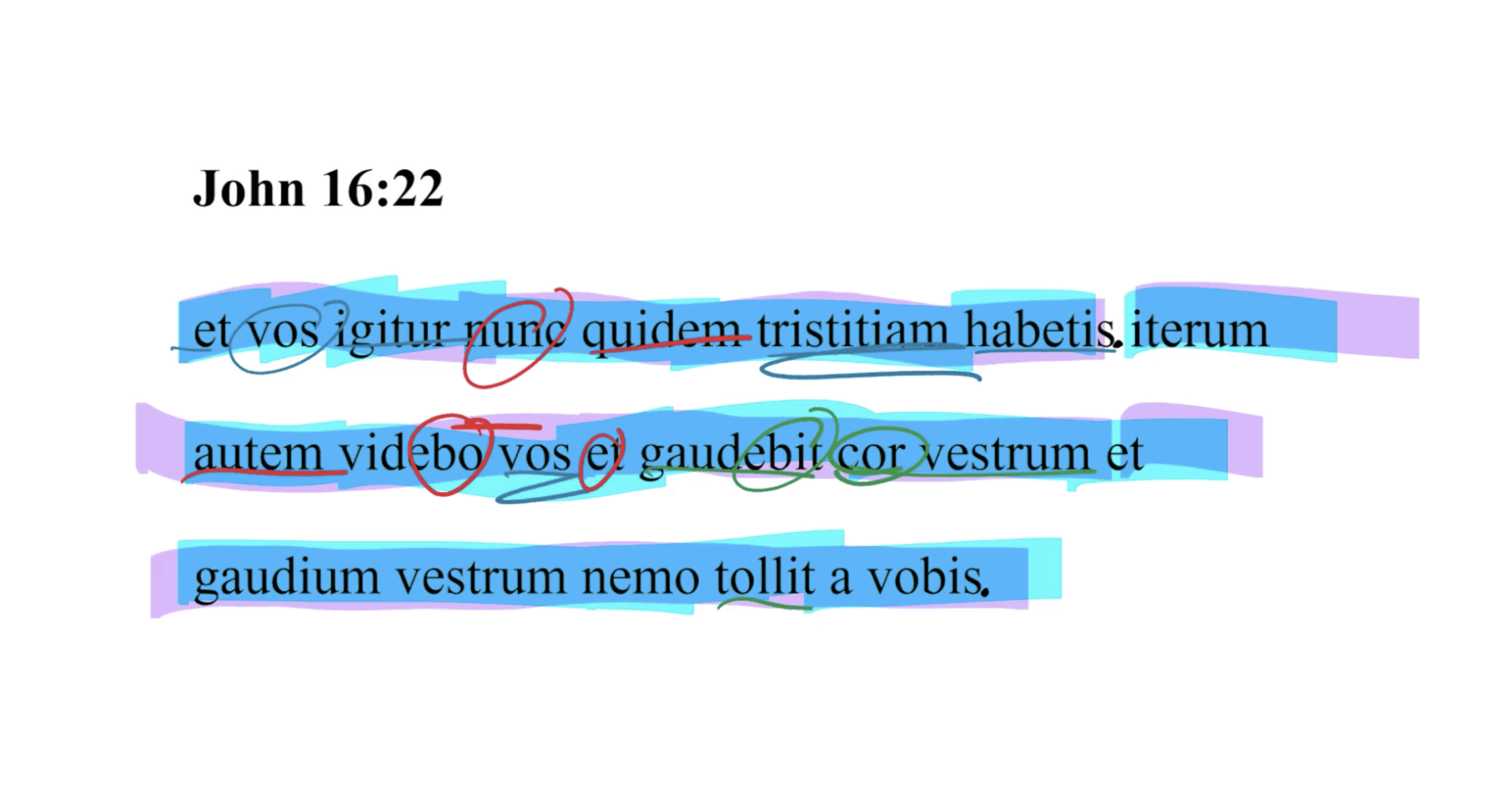 John 16:22 Latin Vulgate