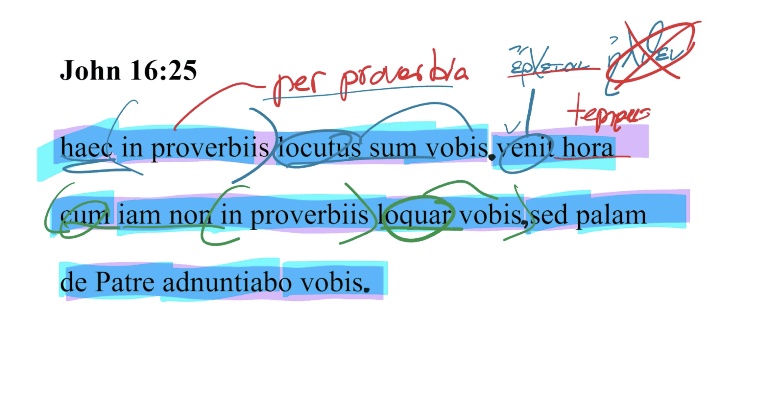 John 16:25 Latin Vulgate