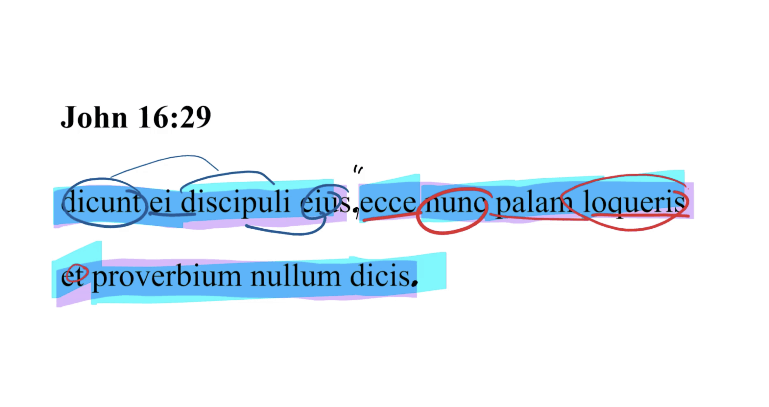 John 16:29 Latin Vulgate