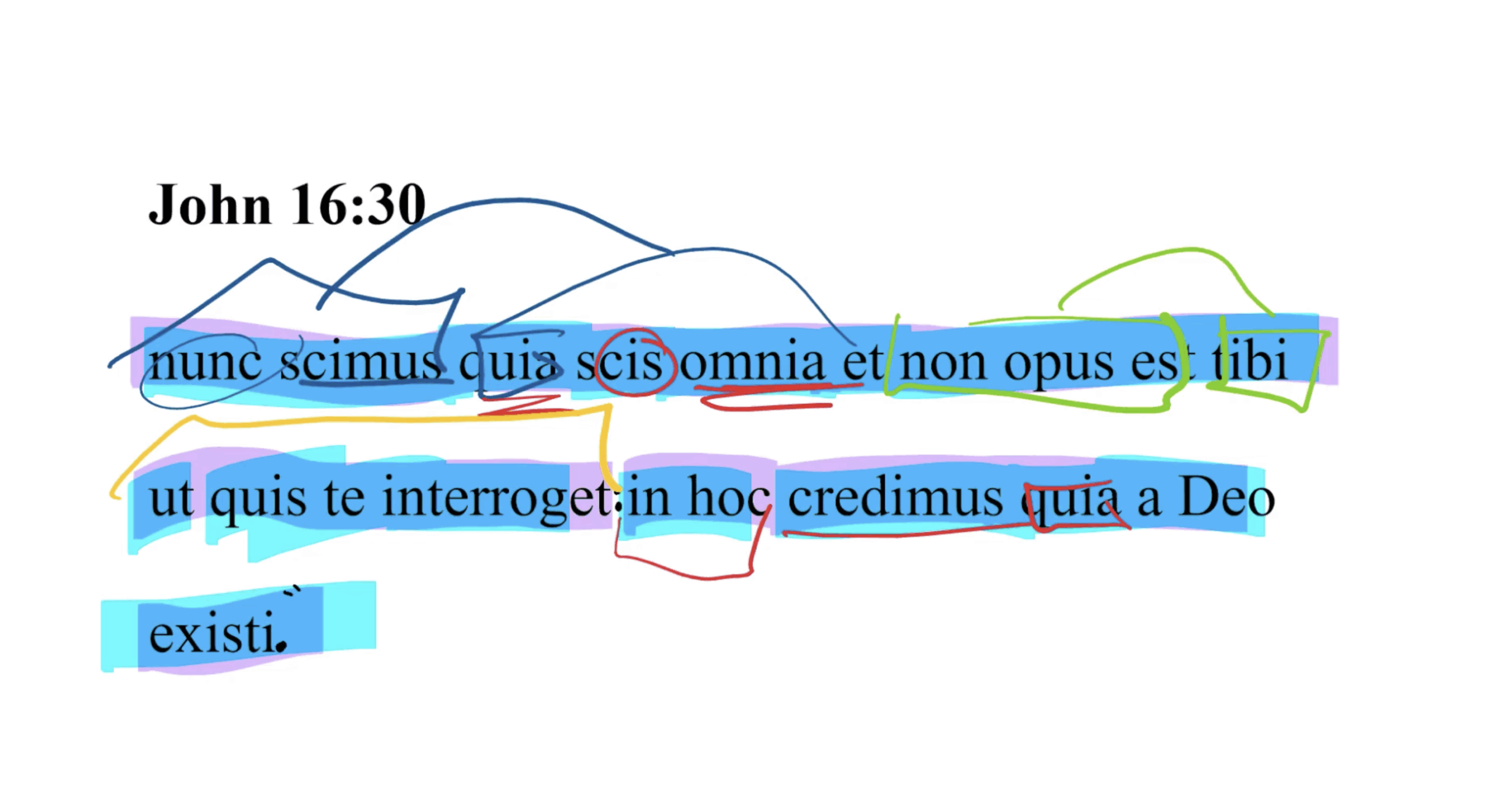 John 16:30 Latin Vulgate