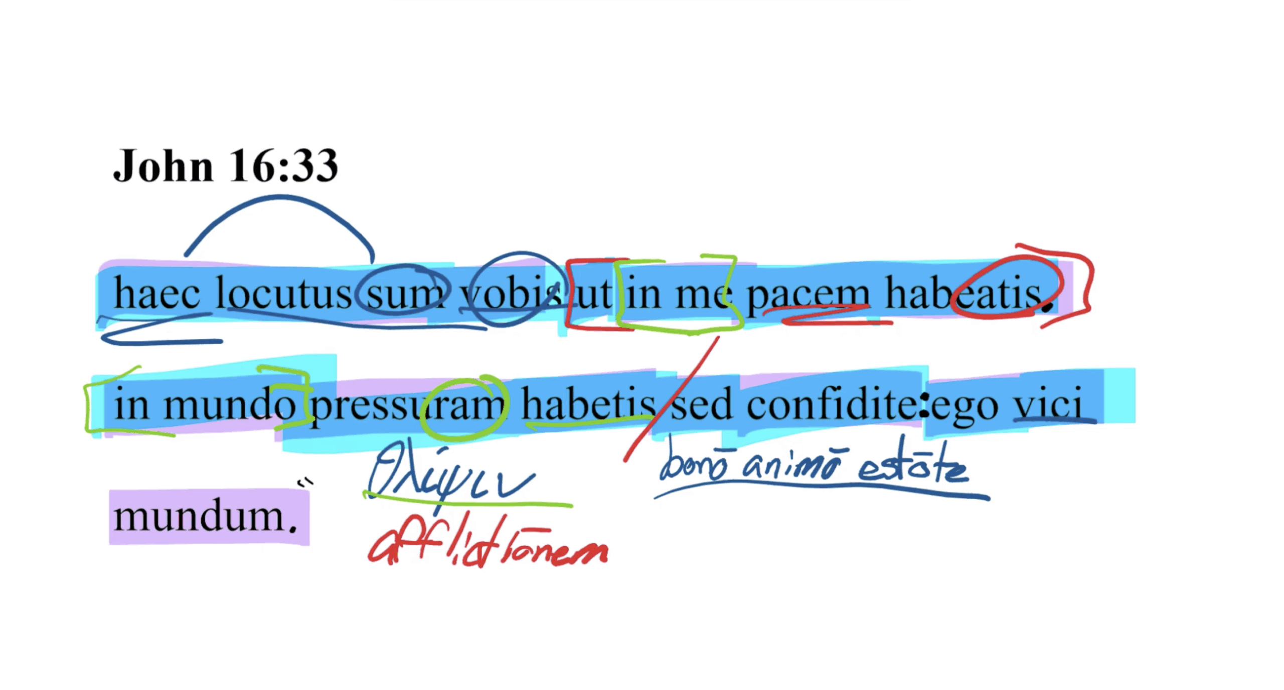 John 16:33 Latin Vulgate