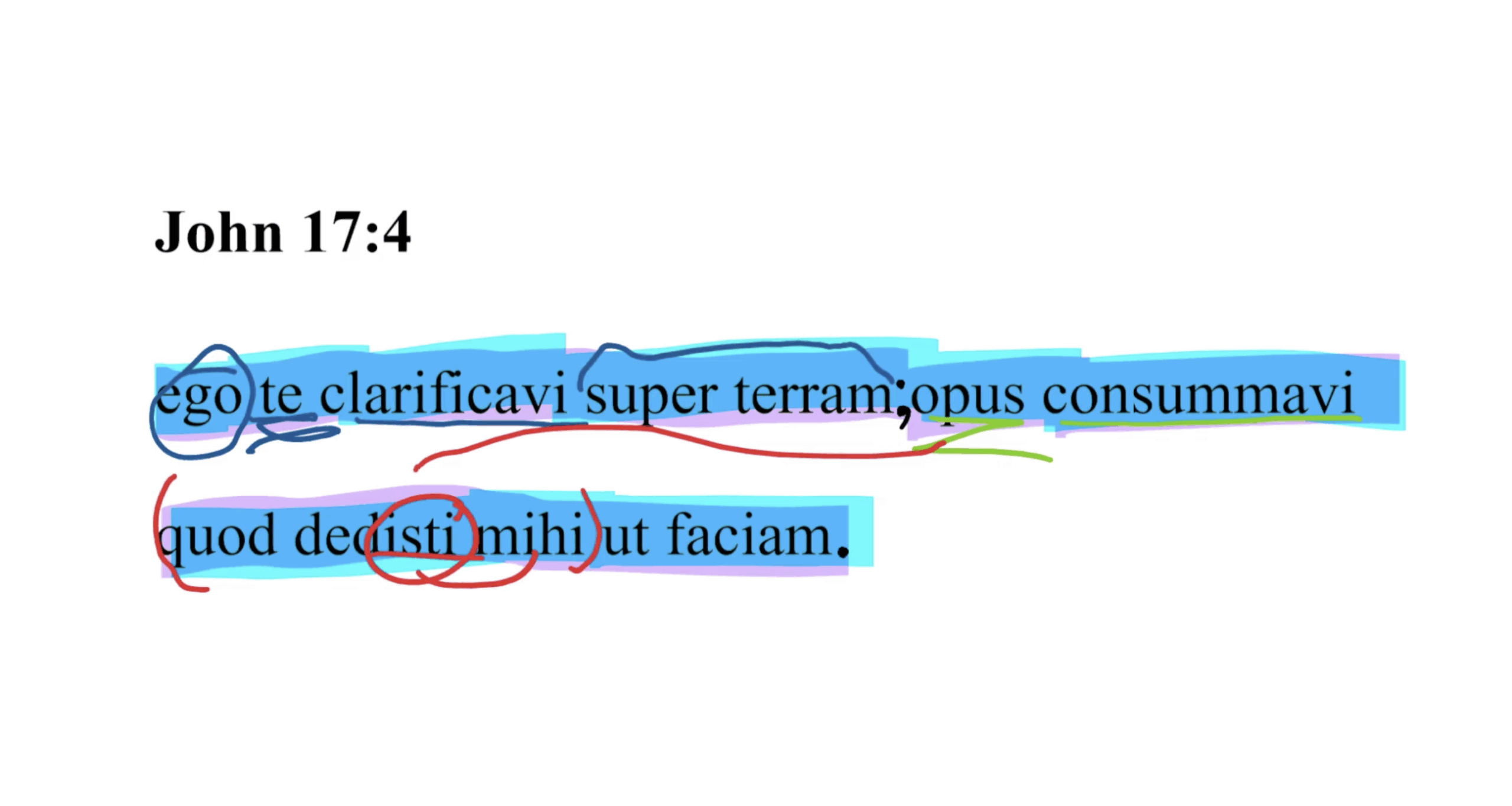 John 17:4 Latin Vulgate