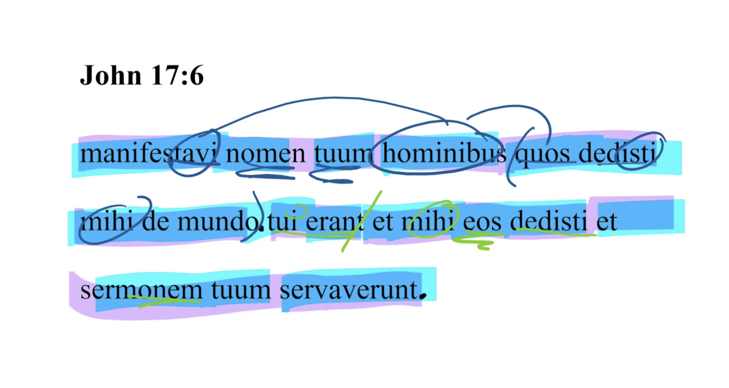 John 17:6 Latin Vulgate