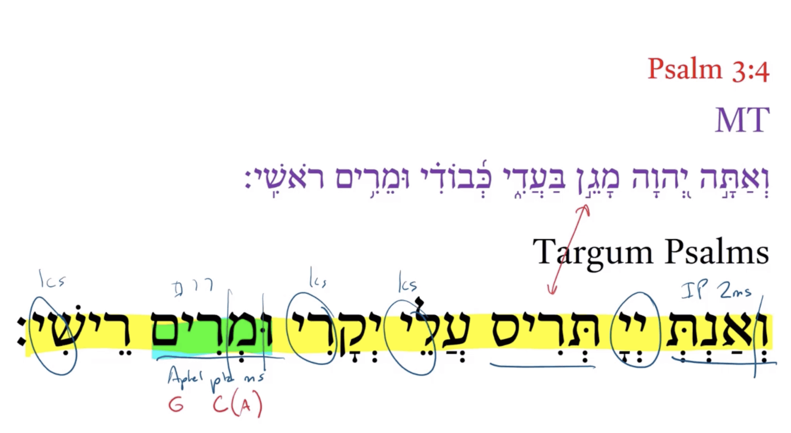 Targum Psalm 3:4