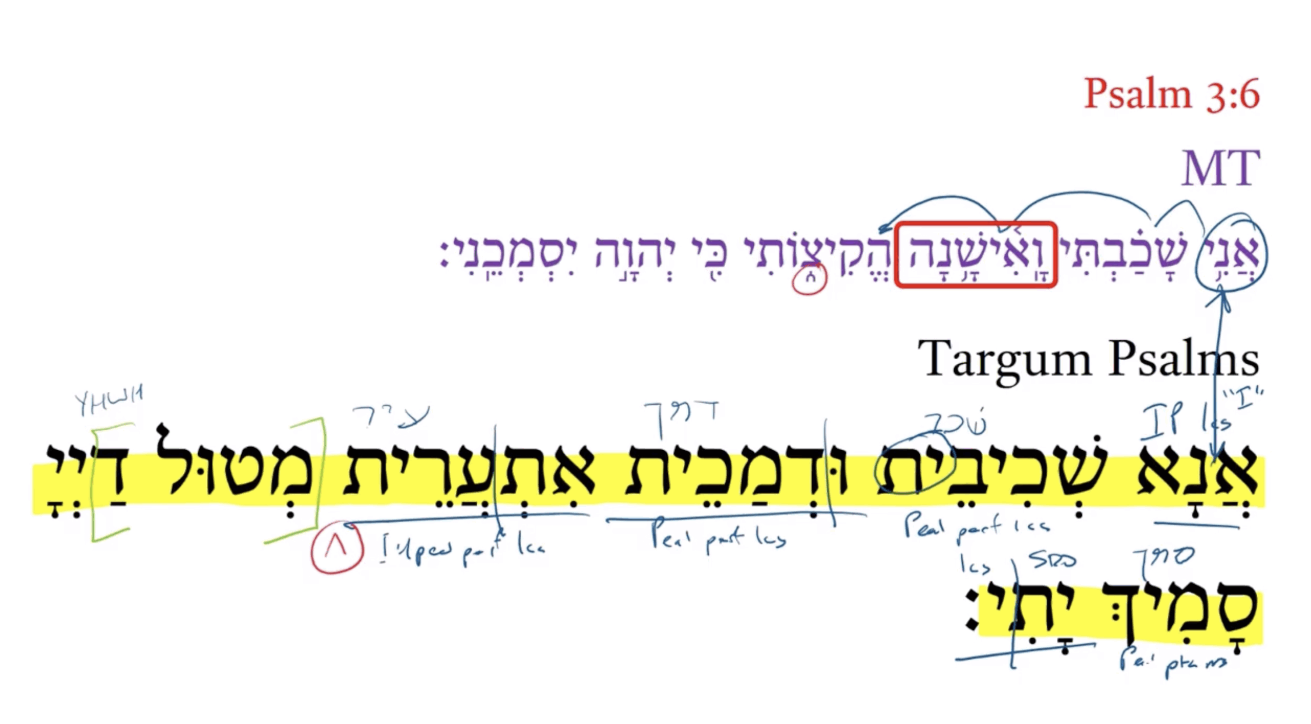 Targum Psalm 3:6