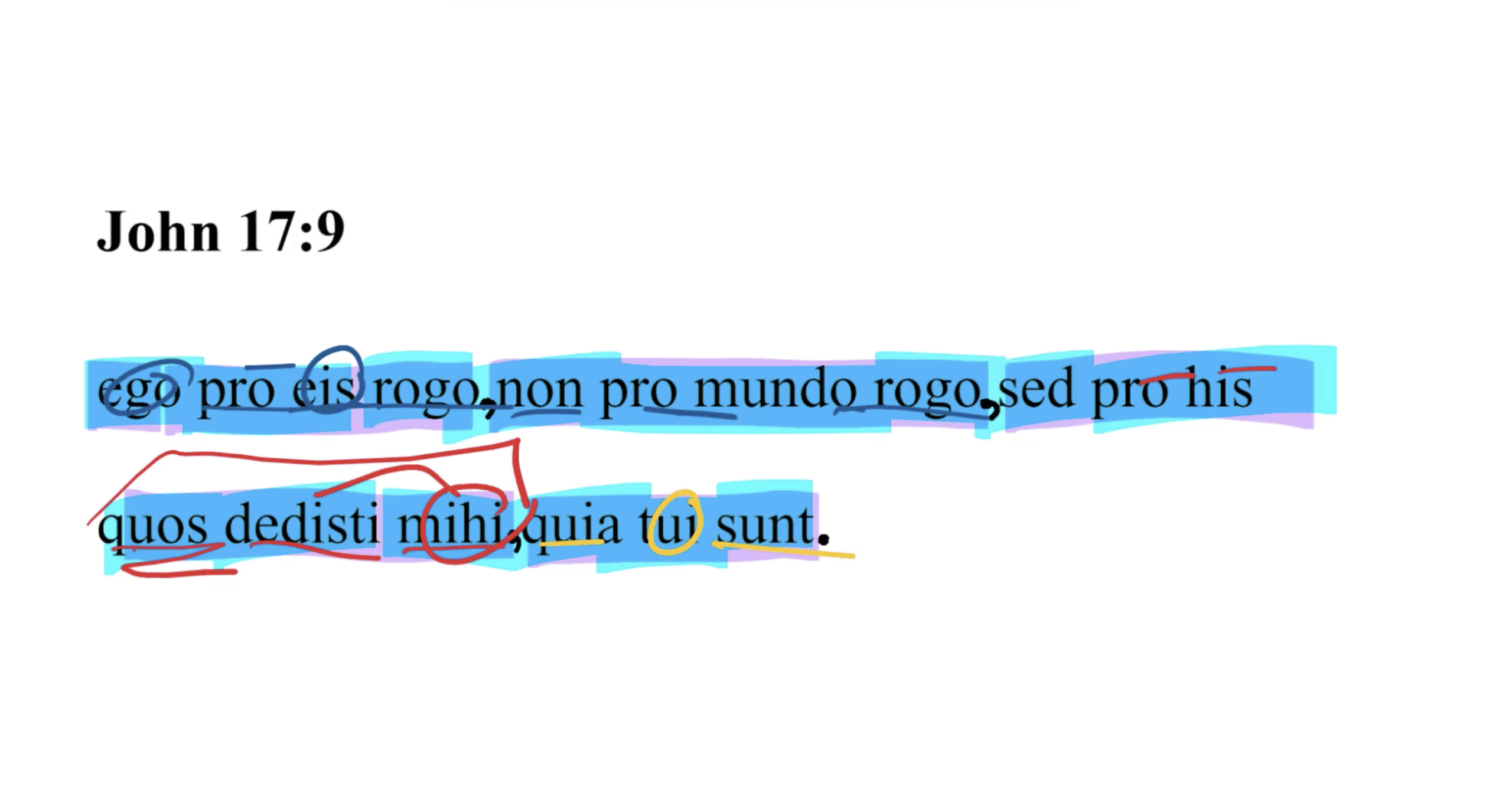 John 17:9 Latin Vulgate