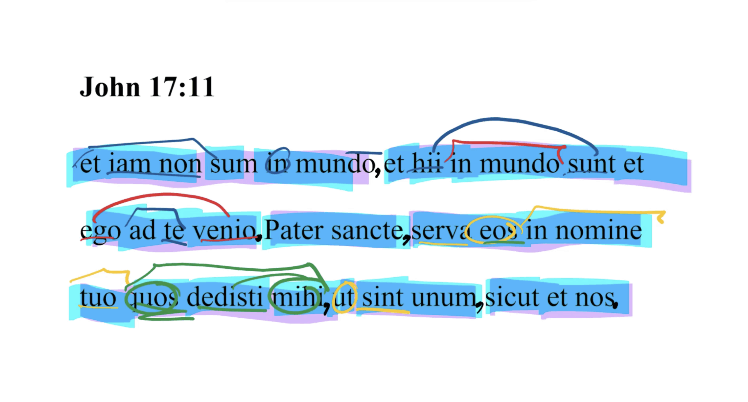 John 17:11 Latin Vulgate