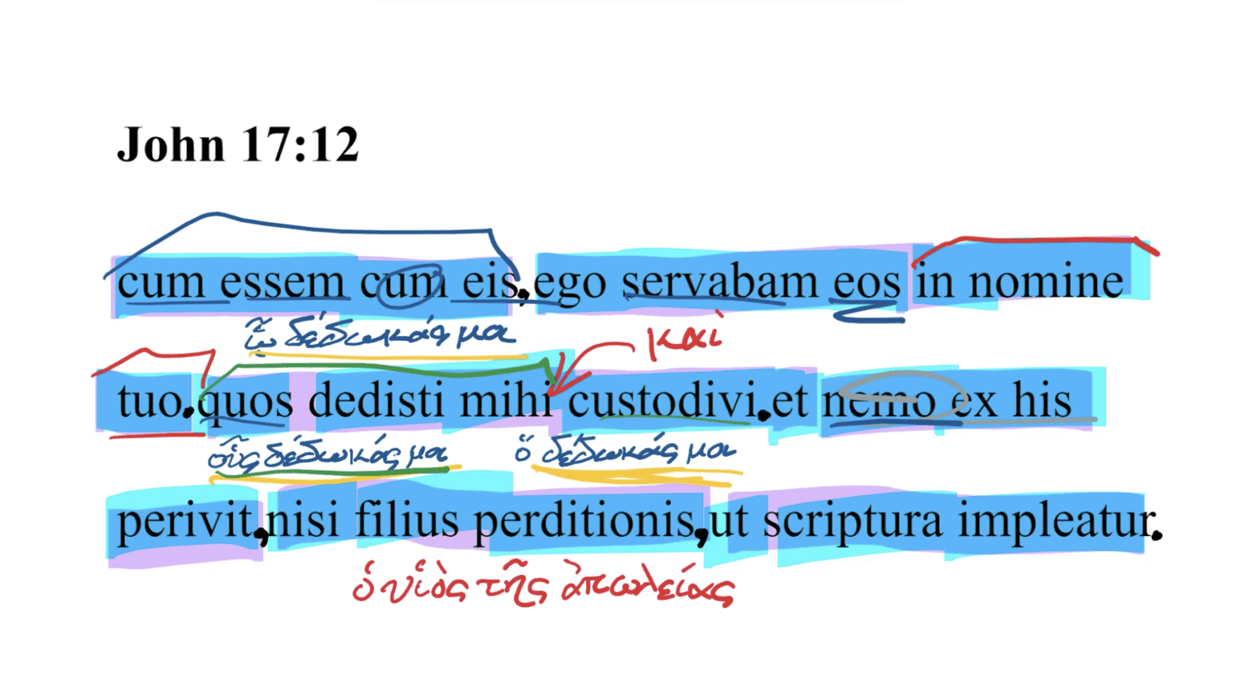 John 17:12 Latin Vulgate