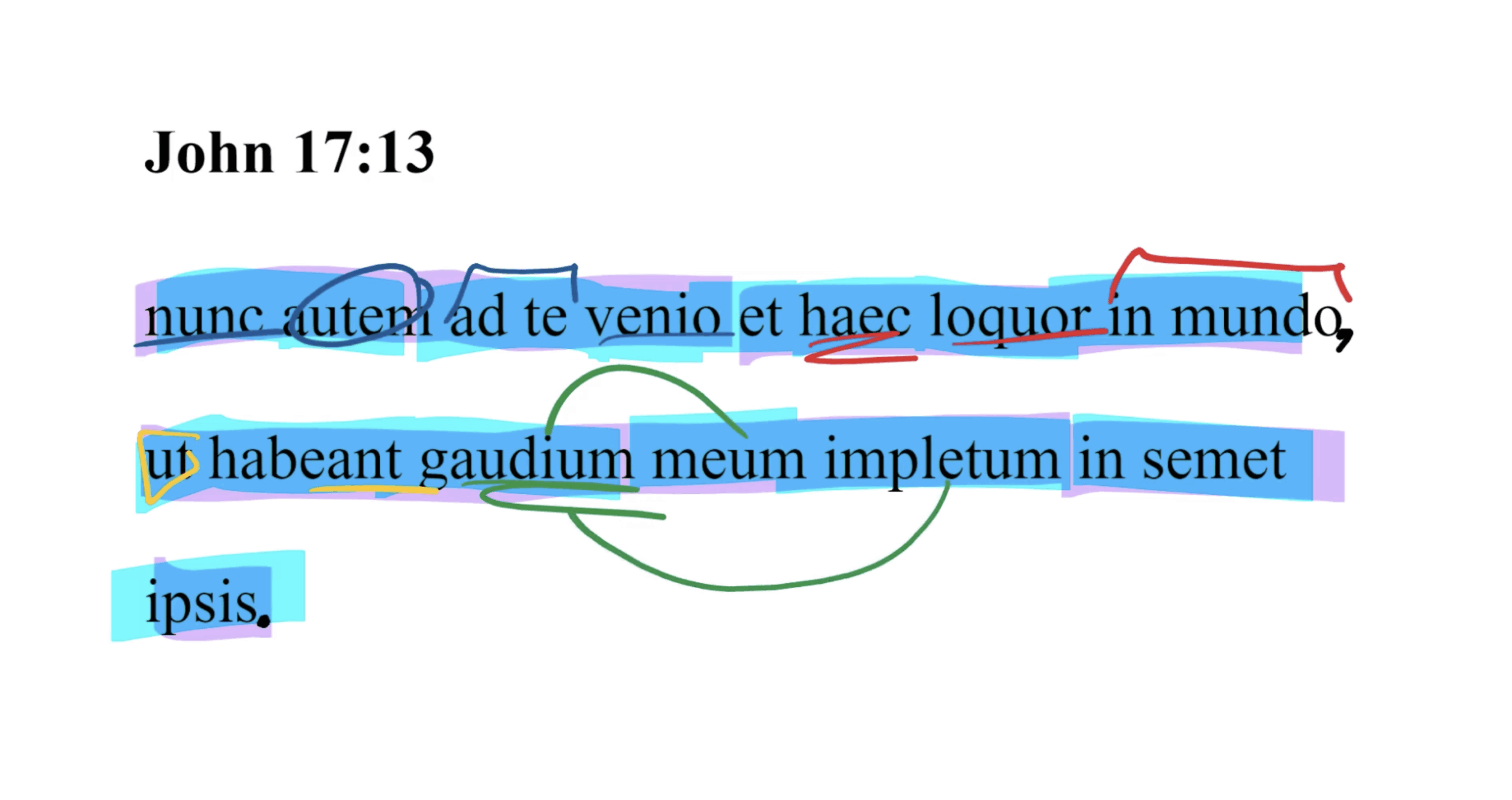 John 17:13 Latin Vulgate