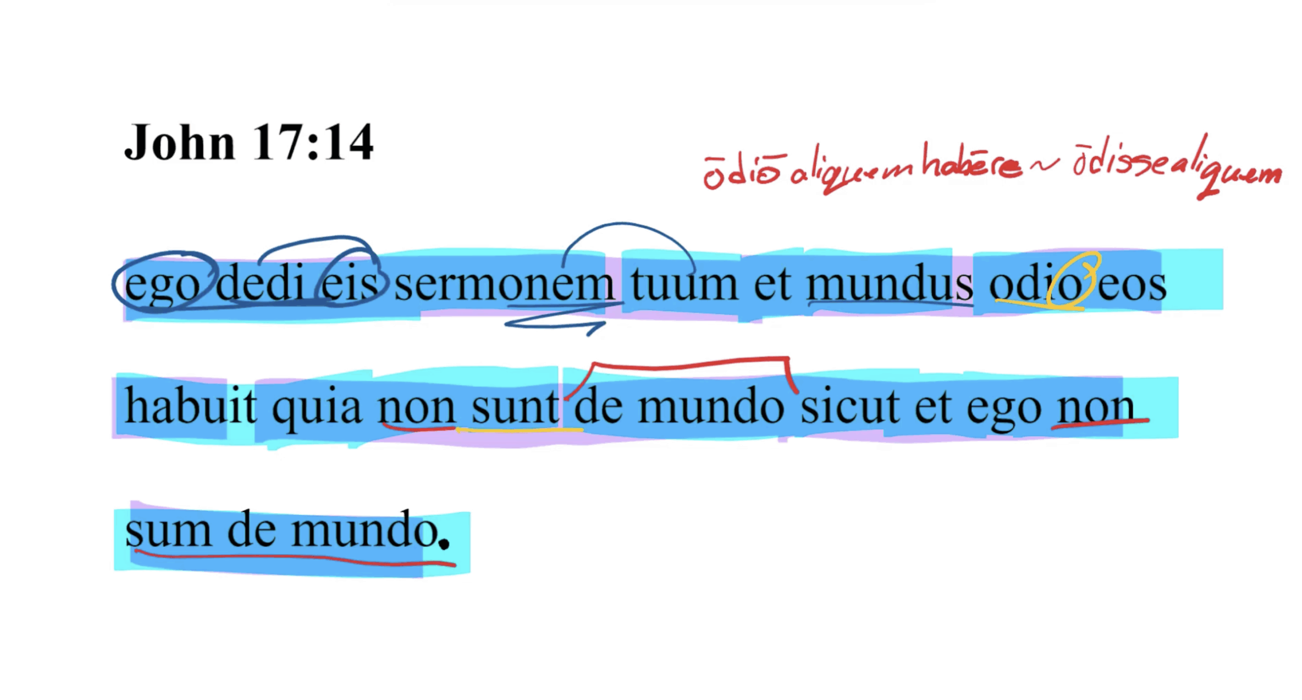 John 17:14 Latin Vulgate