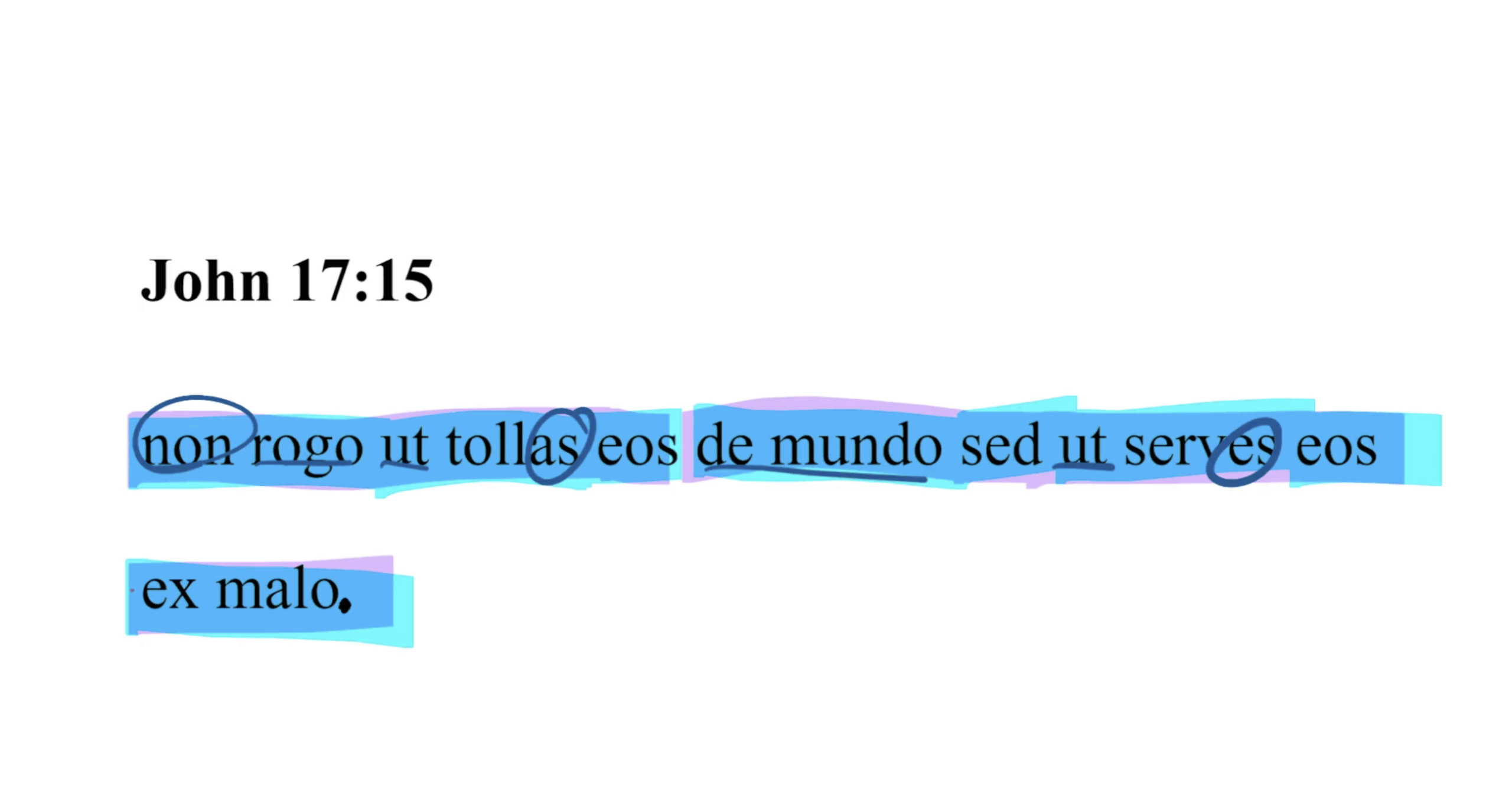 John 17:15 Latin Vulgate