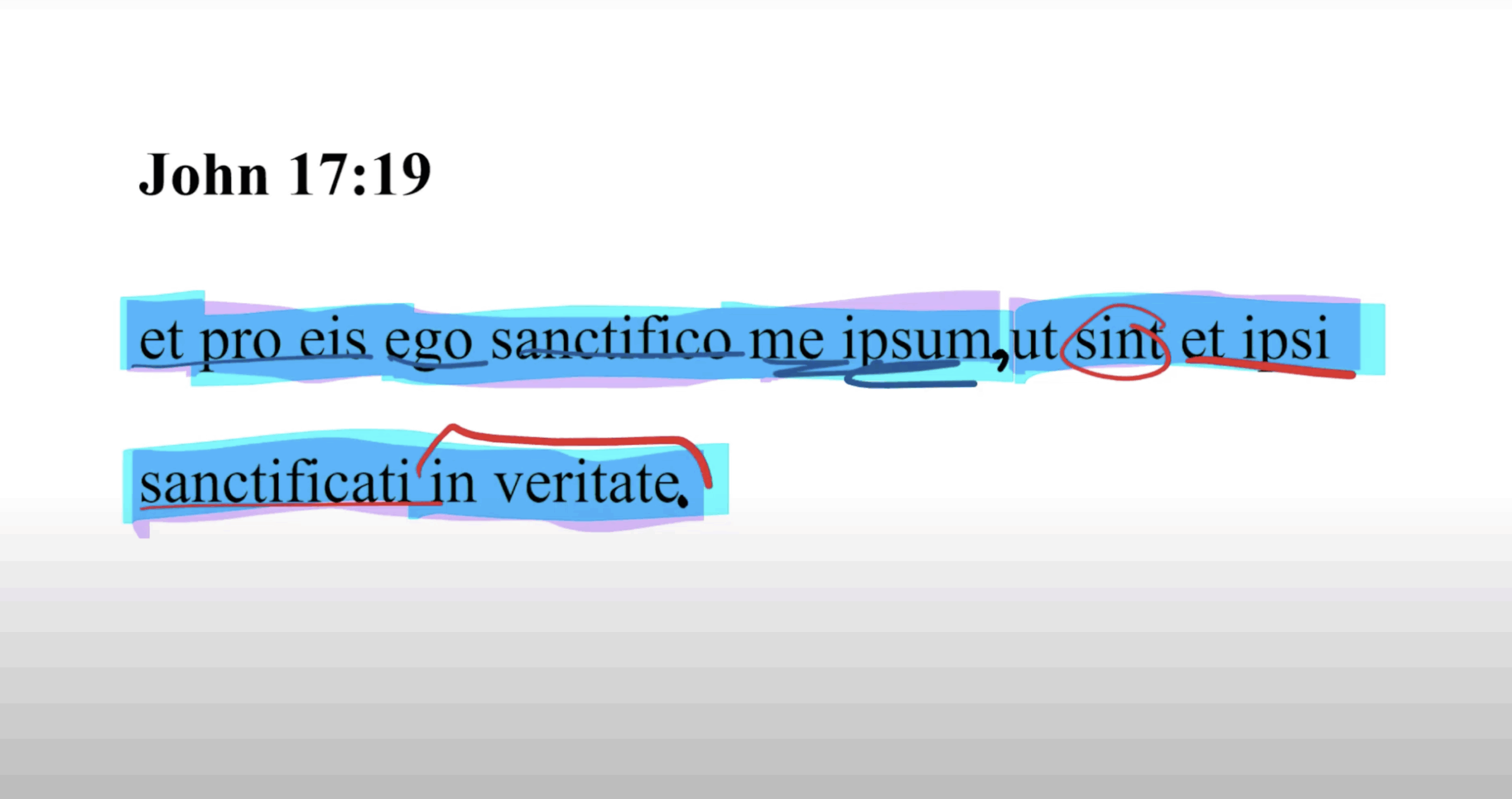 John 17:19 Latin Vulgate
