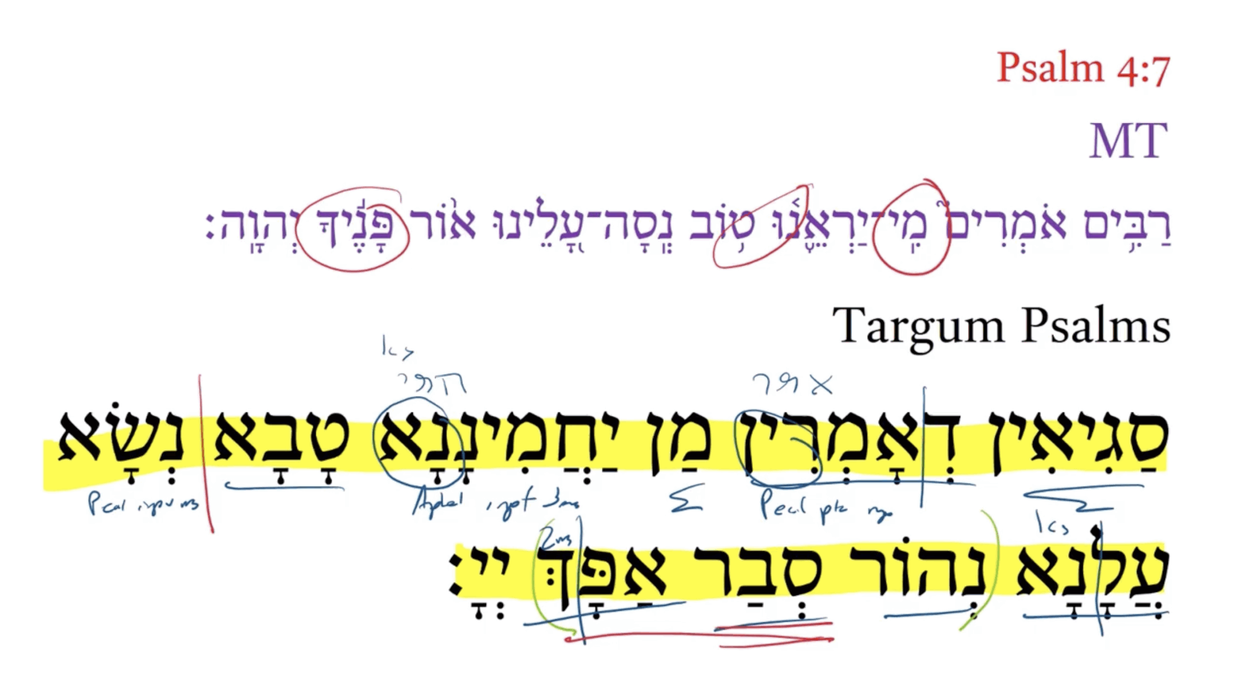 Targum Psalm 4:7