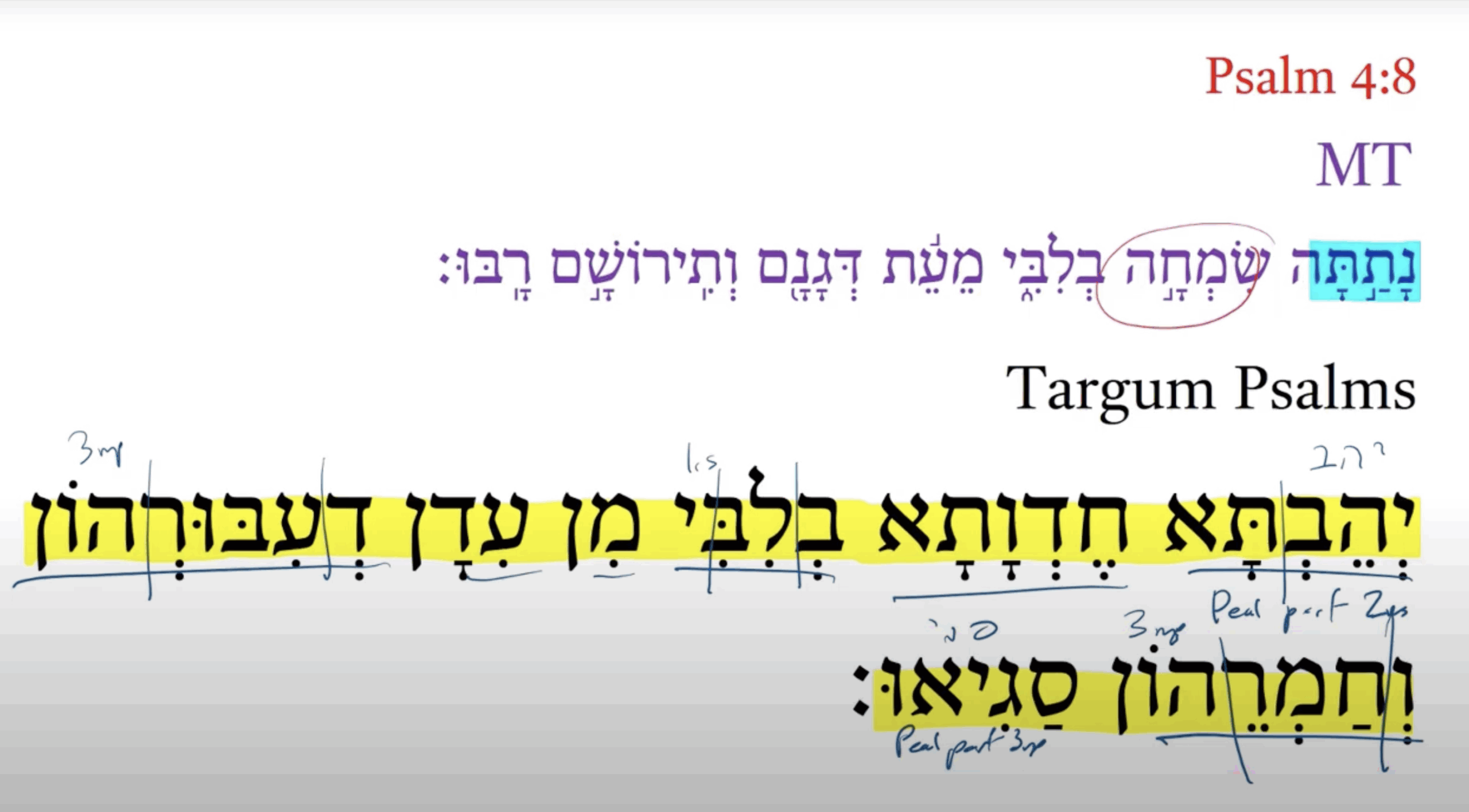 Targum Psalm 4:8