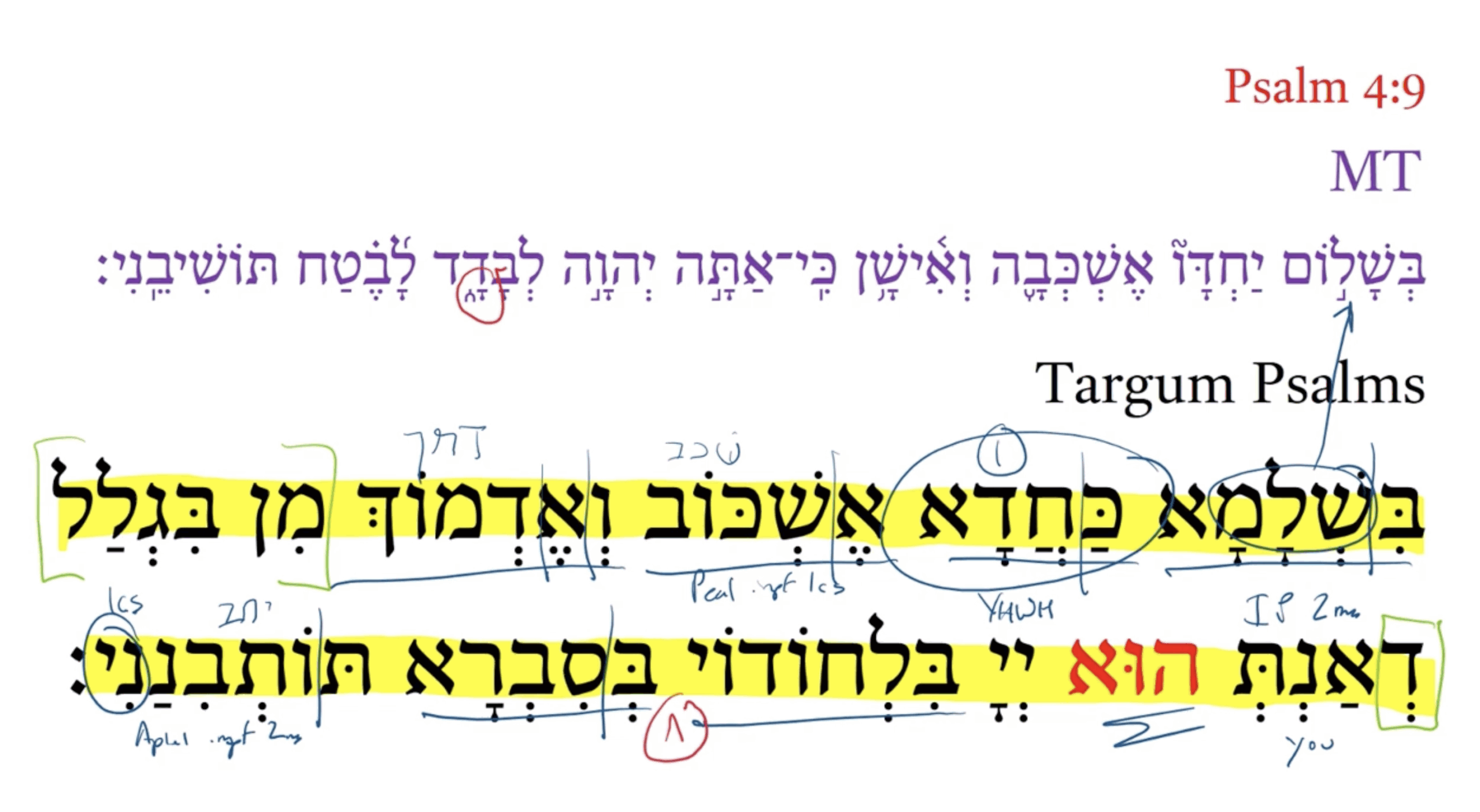 Targum Psalm 4:9