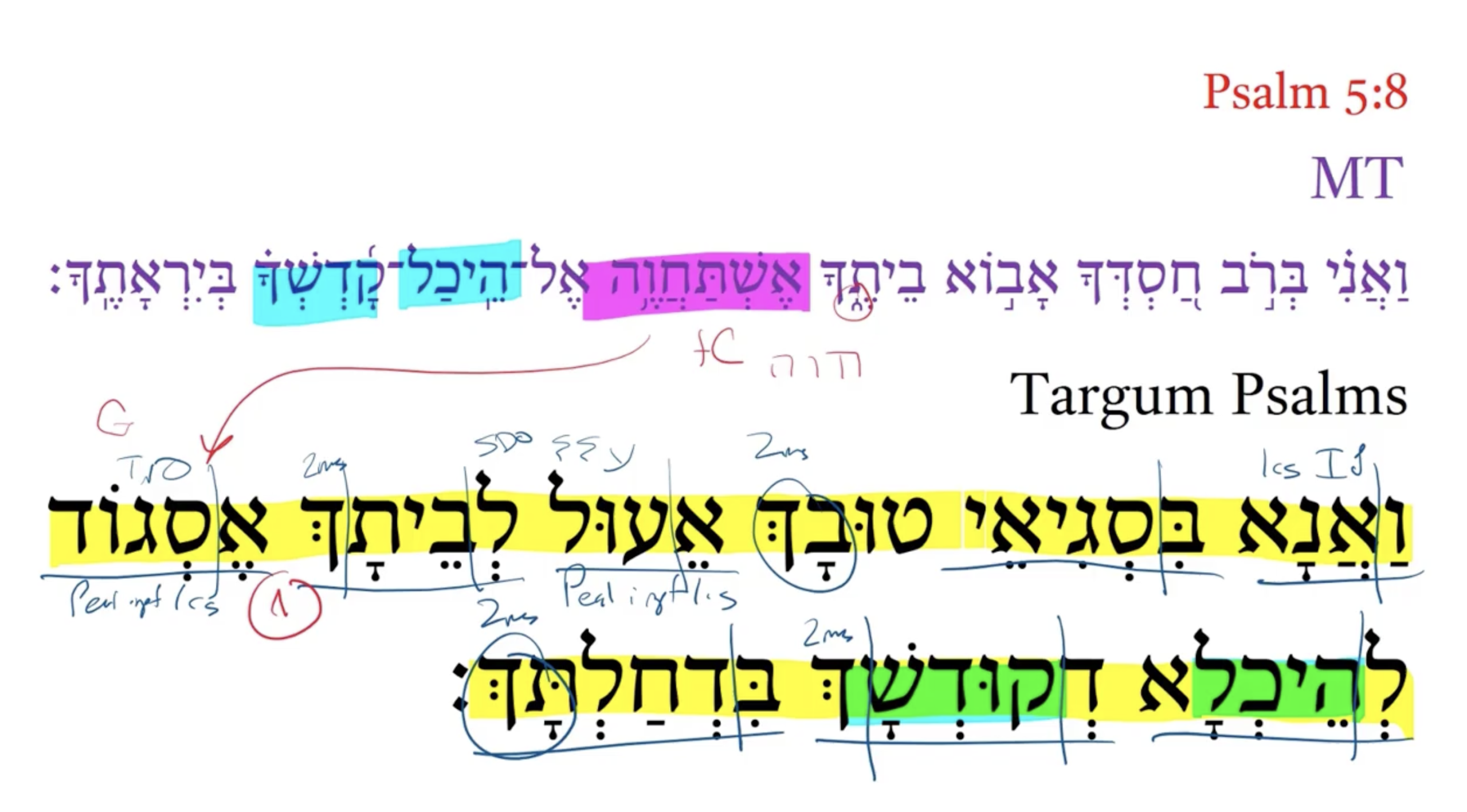 Targum Psalm 5:8