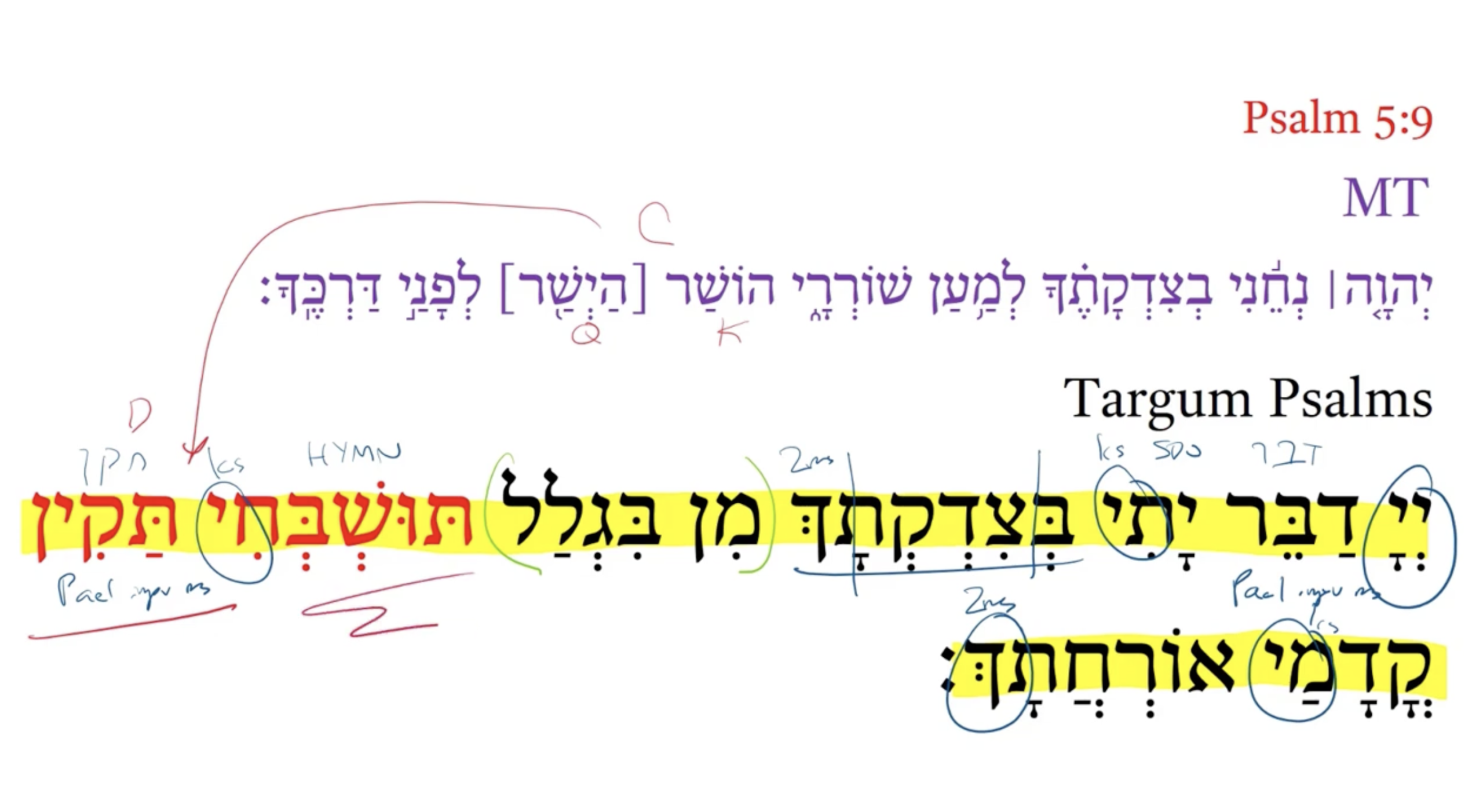 Targum Psalm 5:9