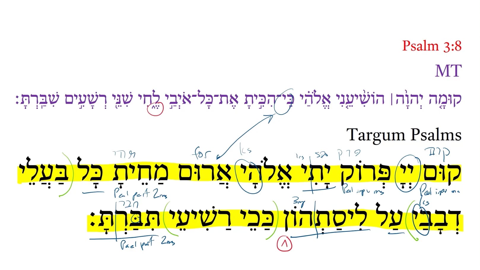 Targum Psalm 3:8