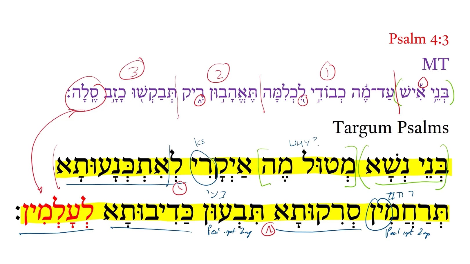 Targum Psalm 4:3