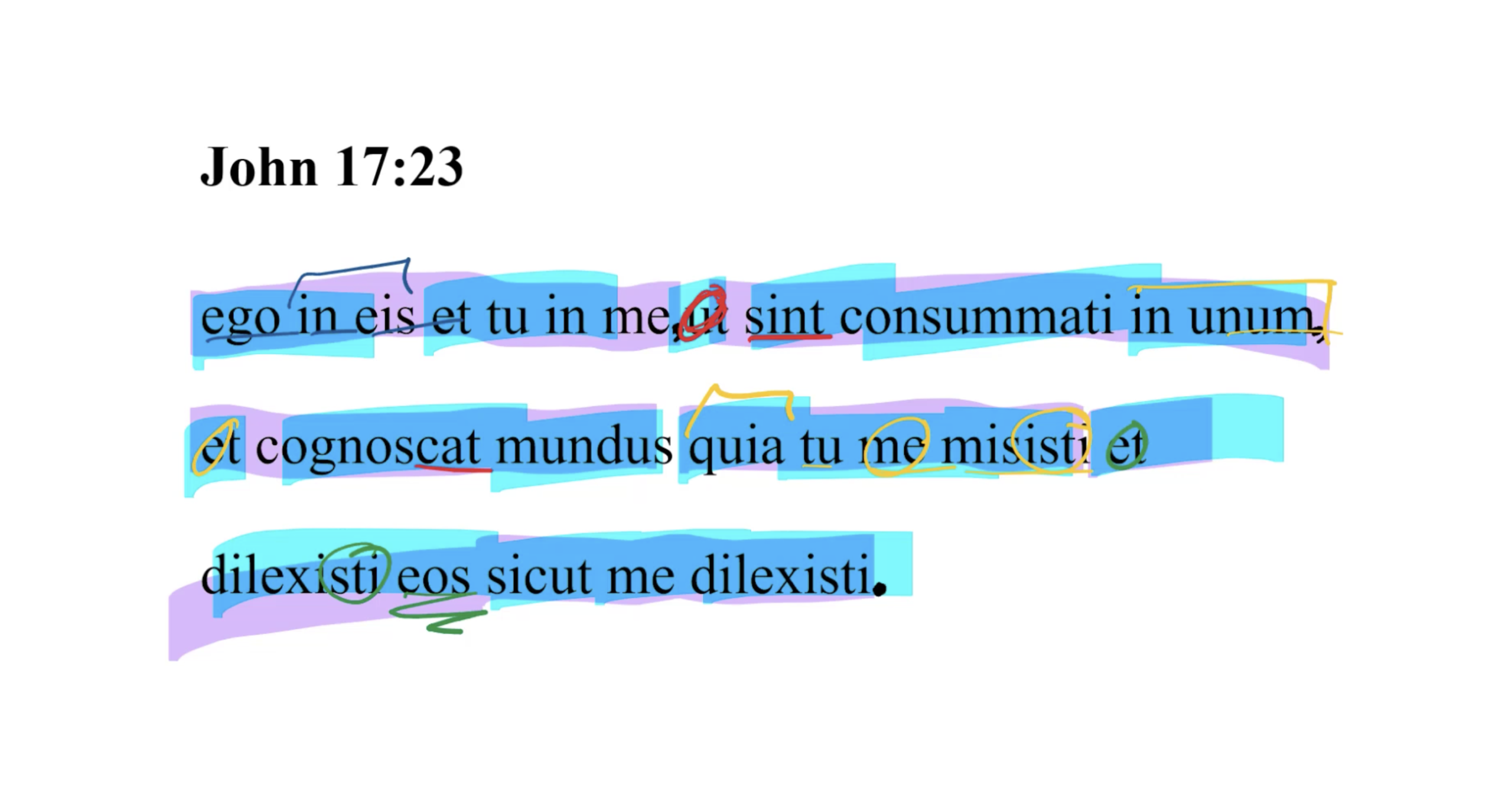 John 17:23 Latin Vulgate