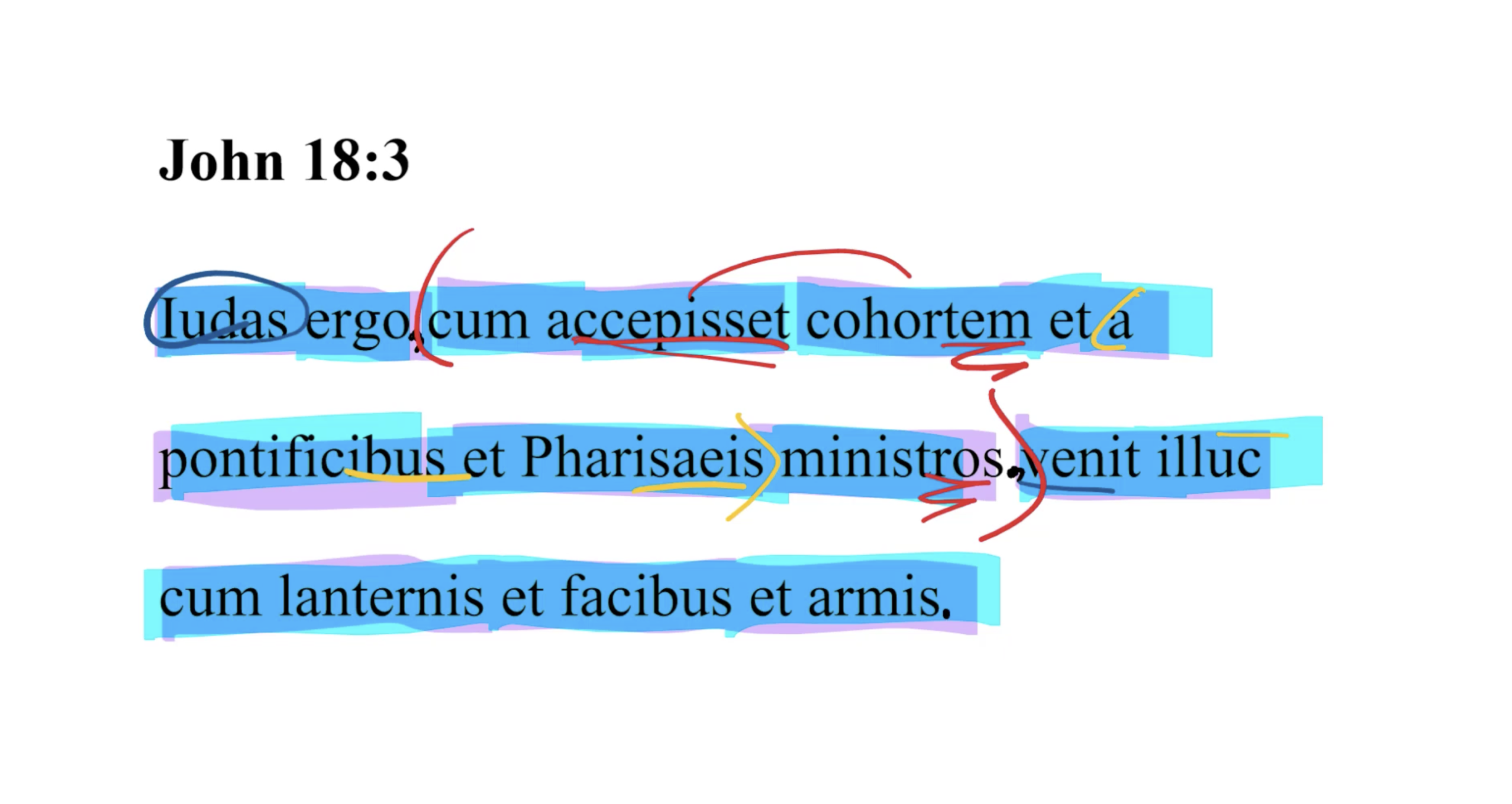John 18:3 Latin Vulgate