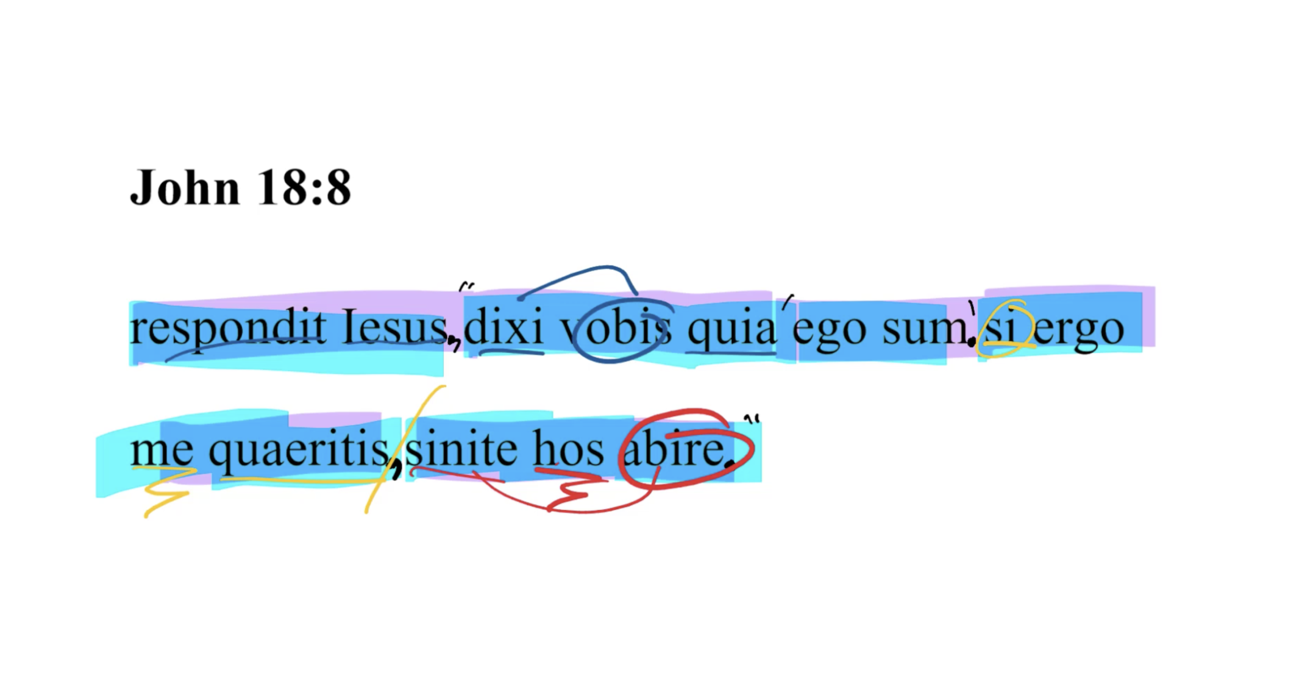 John 18:8 Latin Vulgate