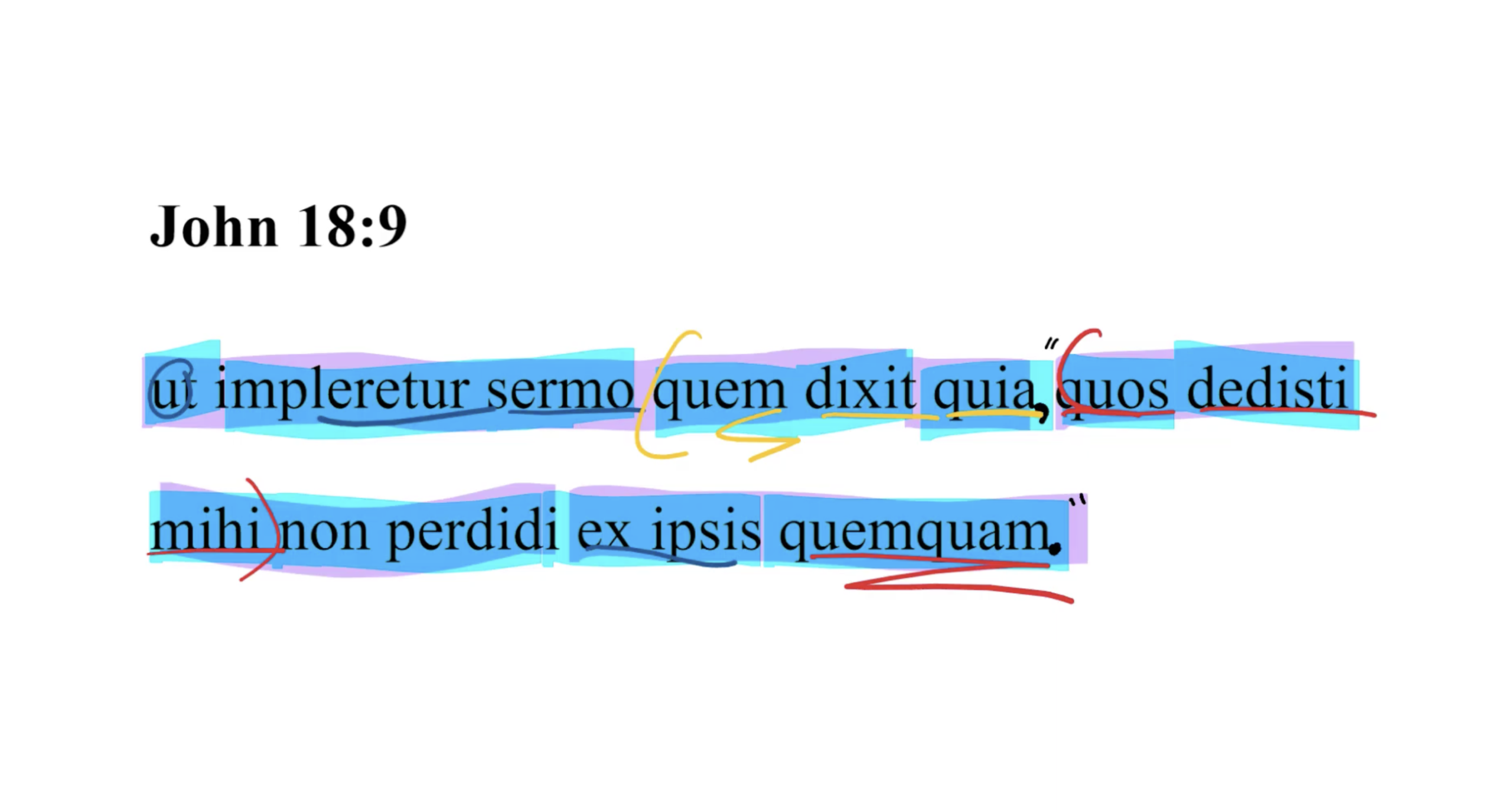 John 18:9 Latin Vulgate