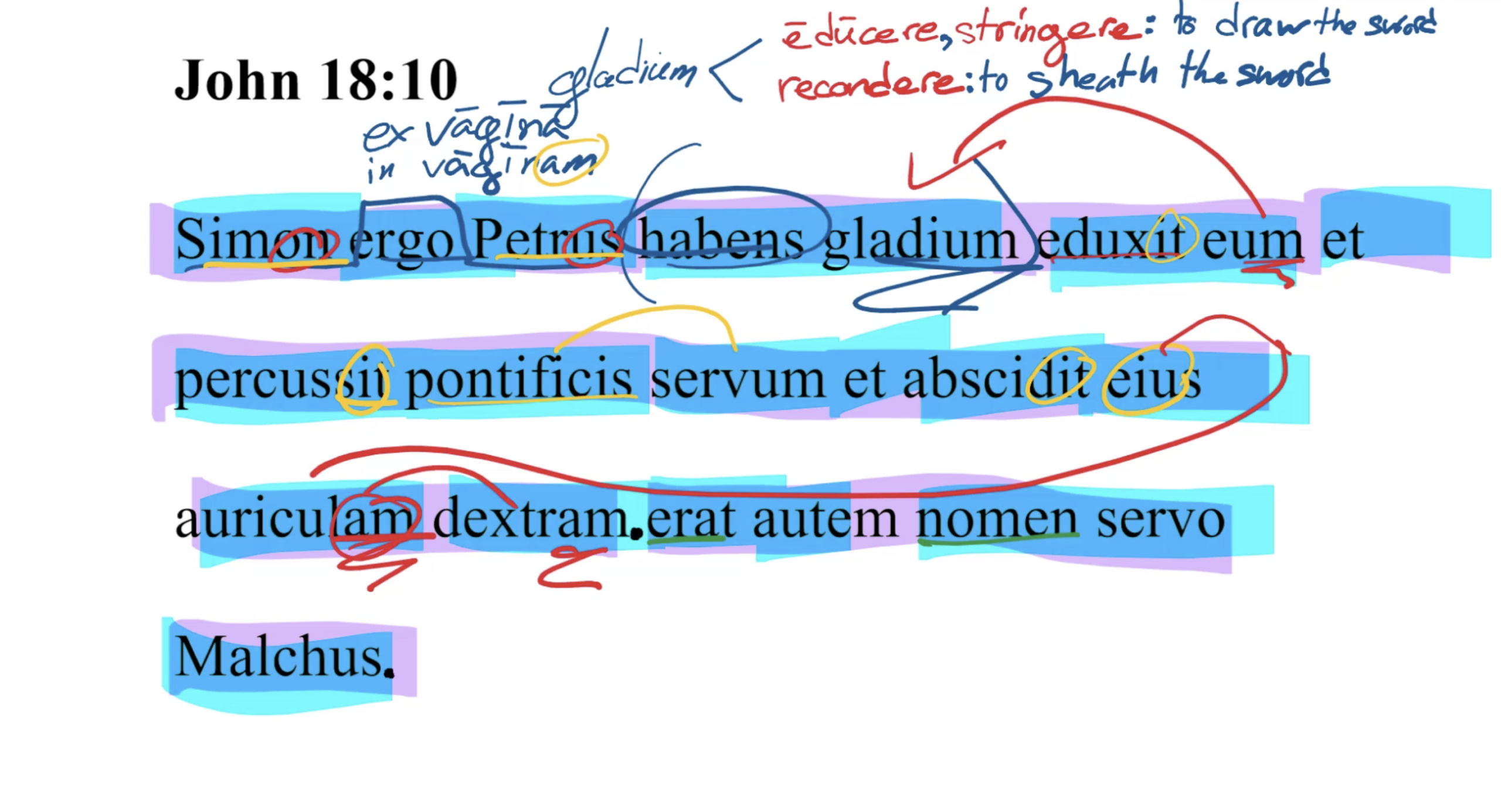 John 18:10 Latin Vulgate