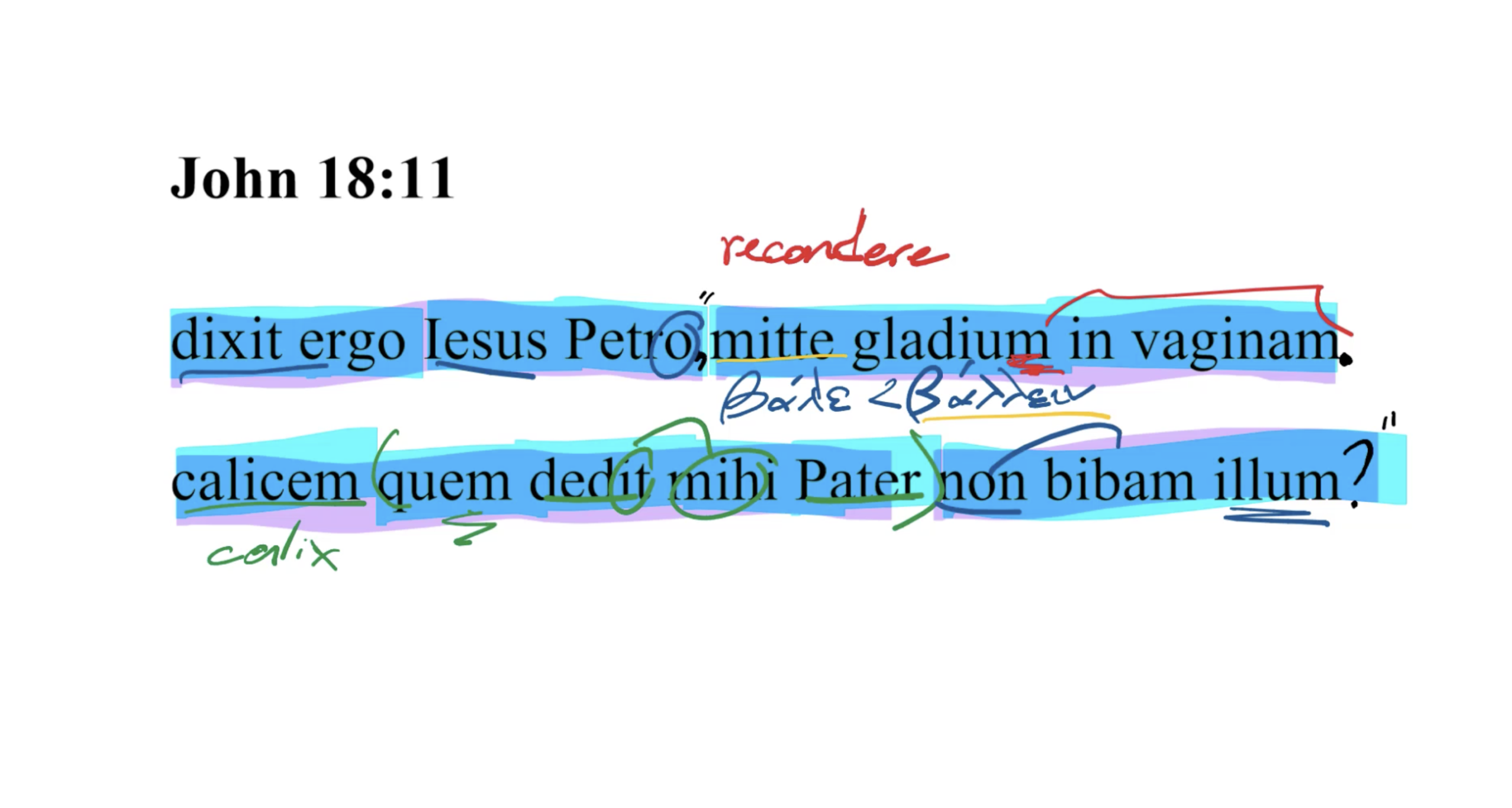 John 18:11 Latin Vulgate