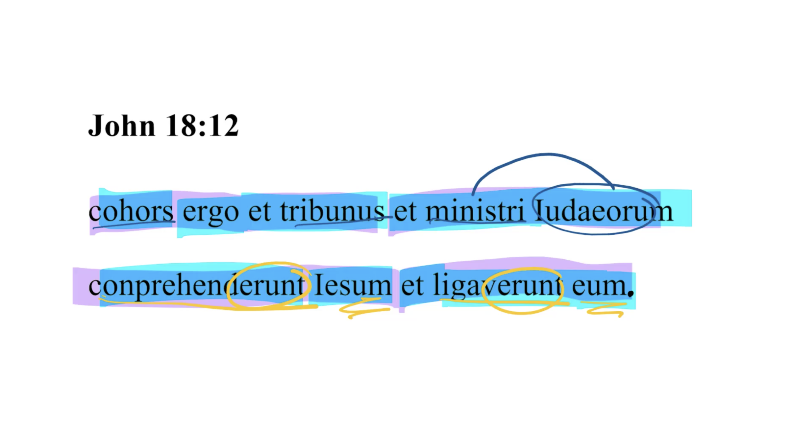 John 18:12 Latin Vulgate