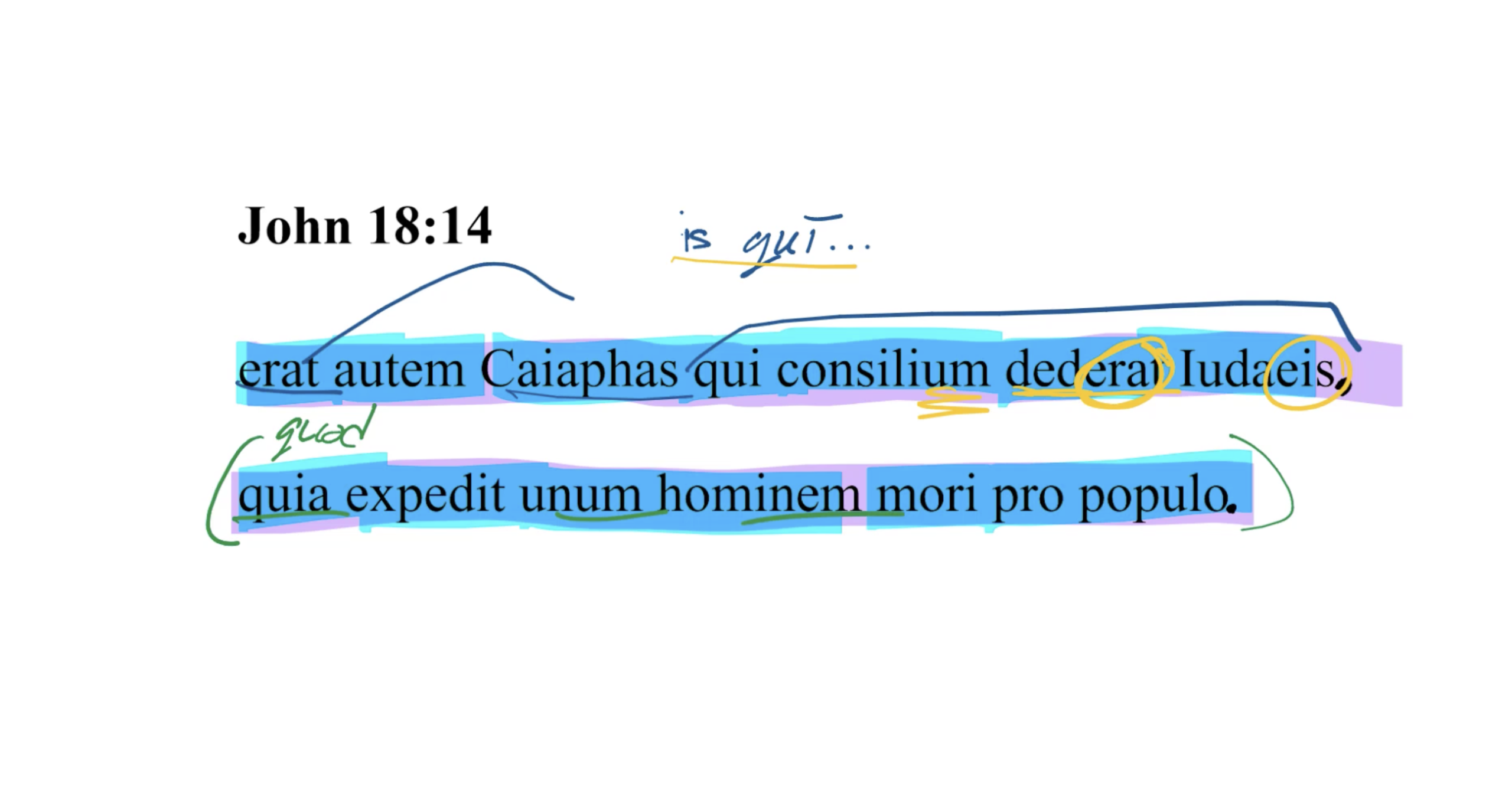 Latin Vulgate John 18:14