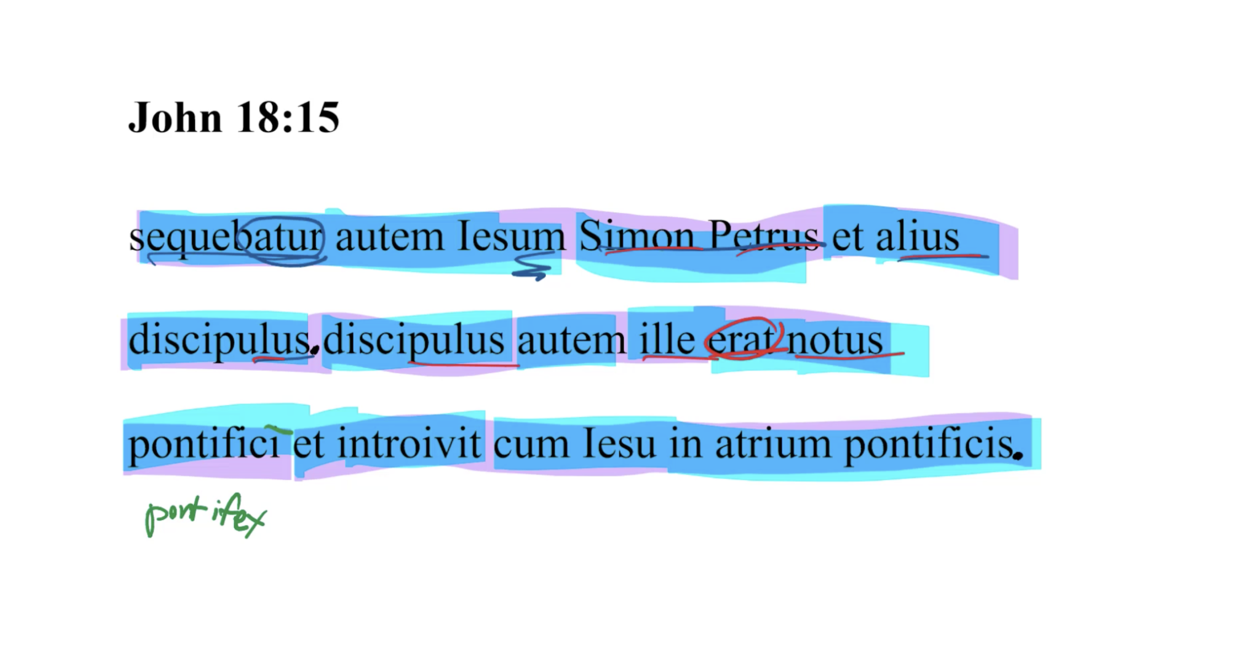 John 18:15 Latin Vulgate