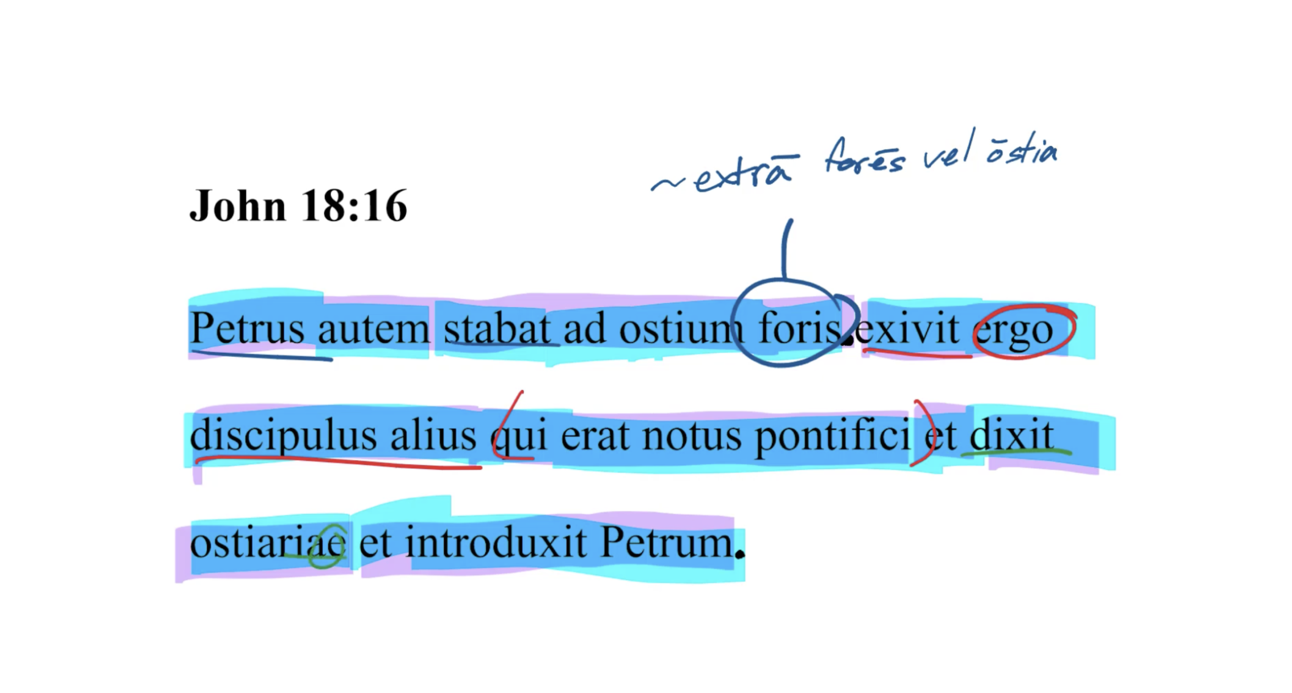 John 18:16 Latin Vulgate