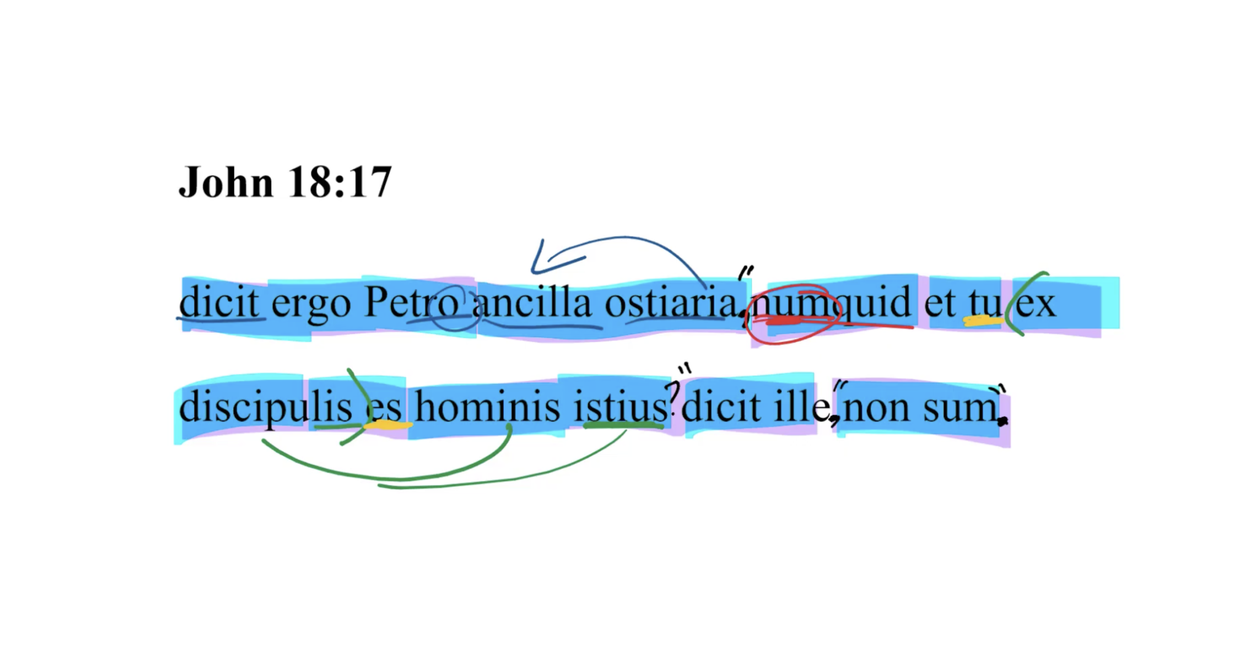 John 18:17 Latin Vulgate