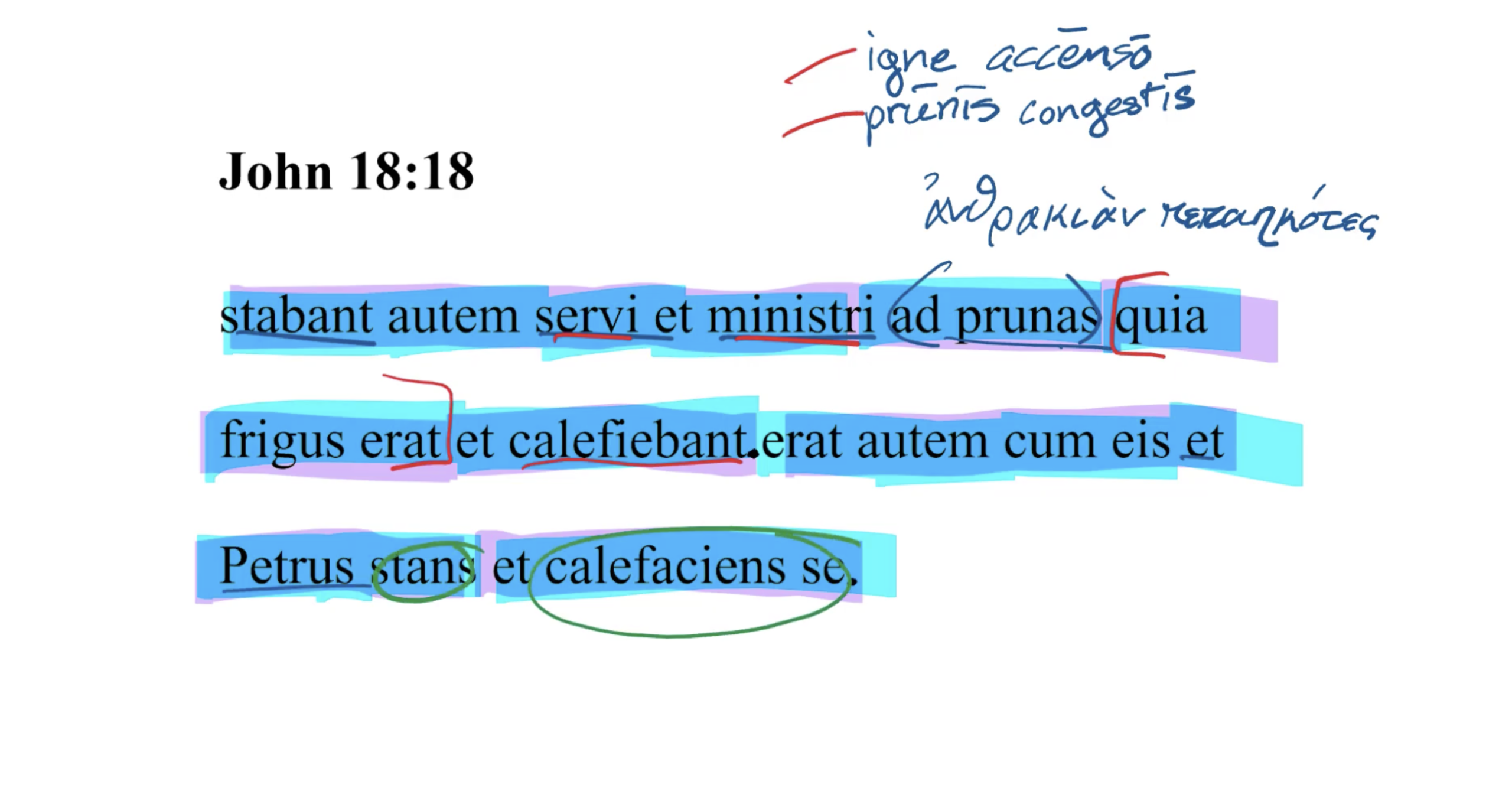 John 18:18 Latin Vulgate