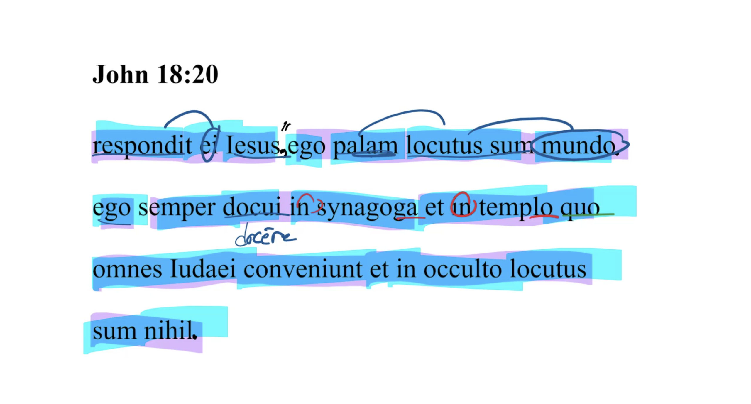 John 18:20 Latin Vulgate